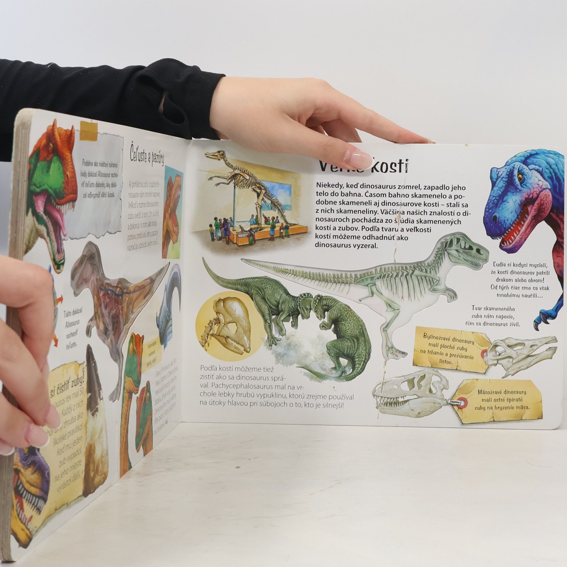 Collectif d'auteurs Dinosaurus: Objavte, čo je vnútri