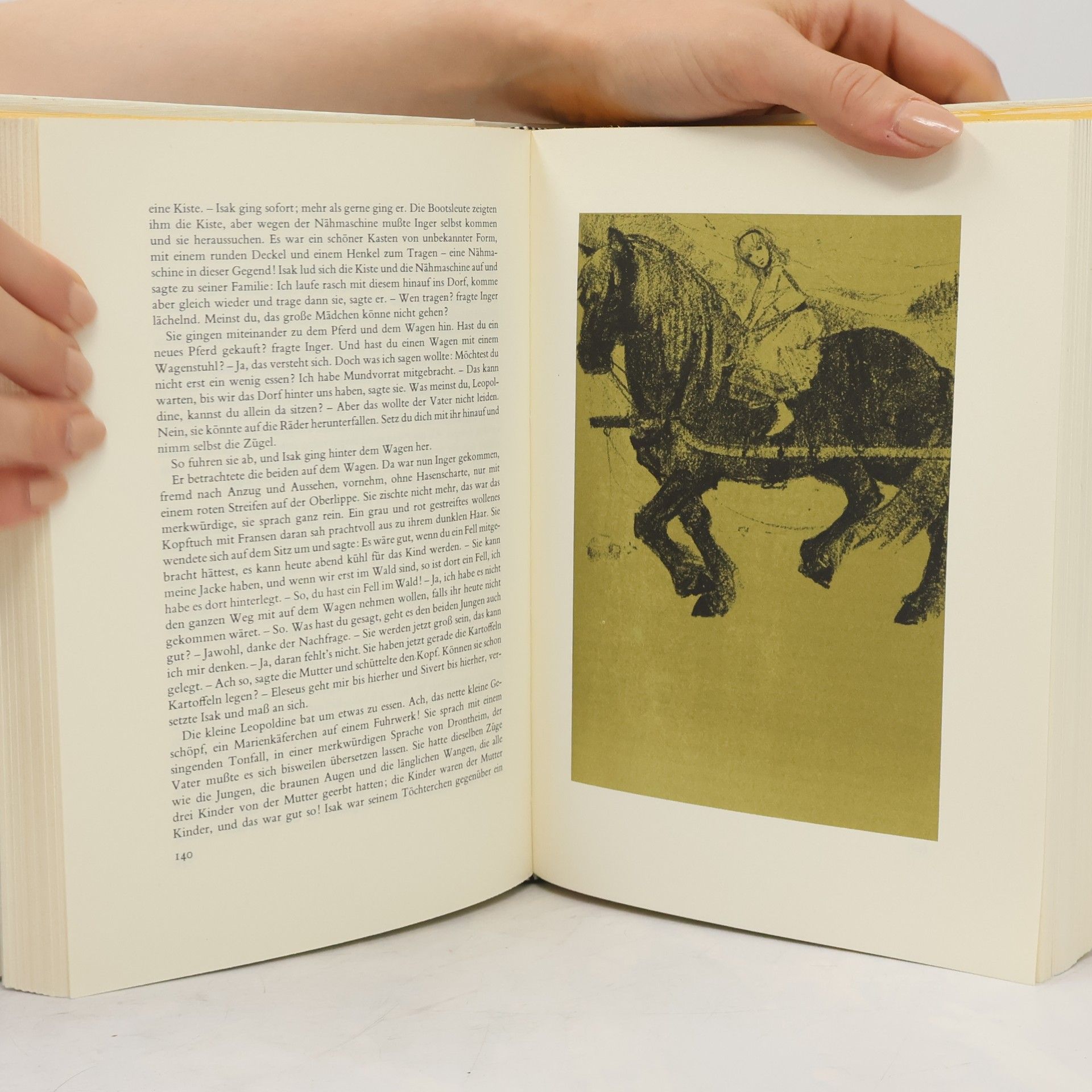 Knut Hamsun Segen der Erde