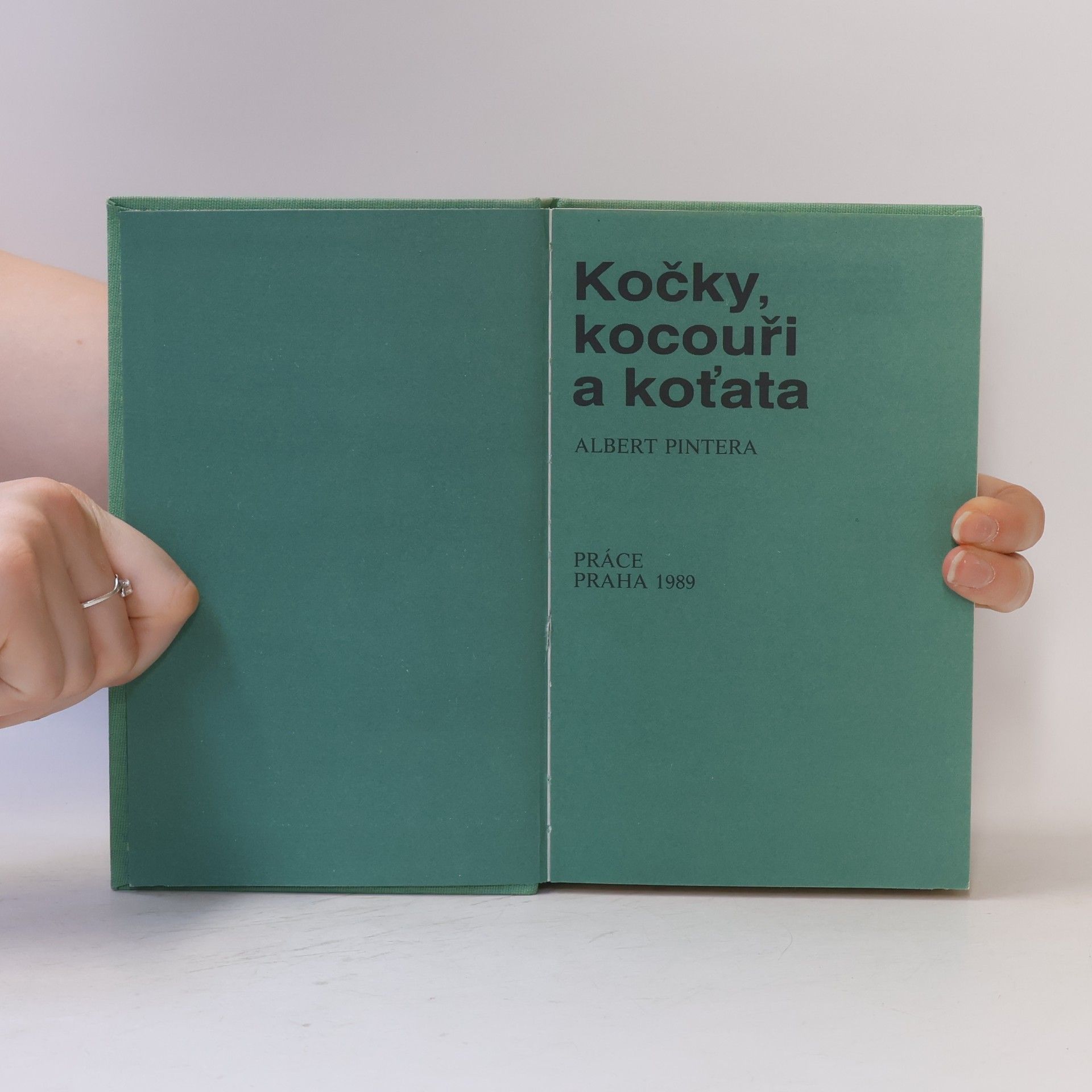 Albert Pintera Kočky, kocouři a koťata