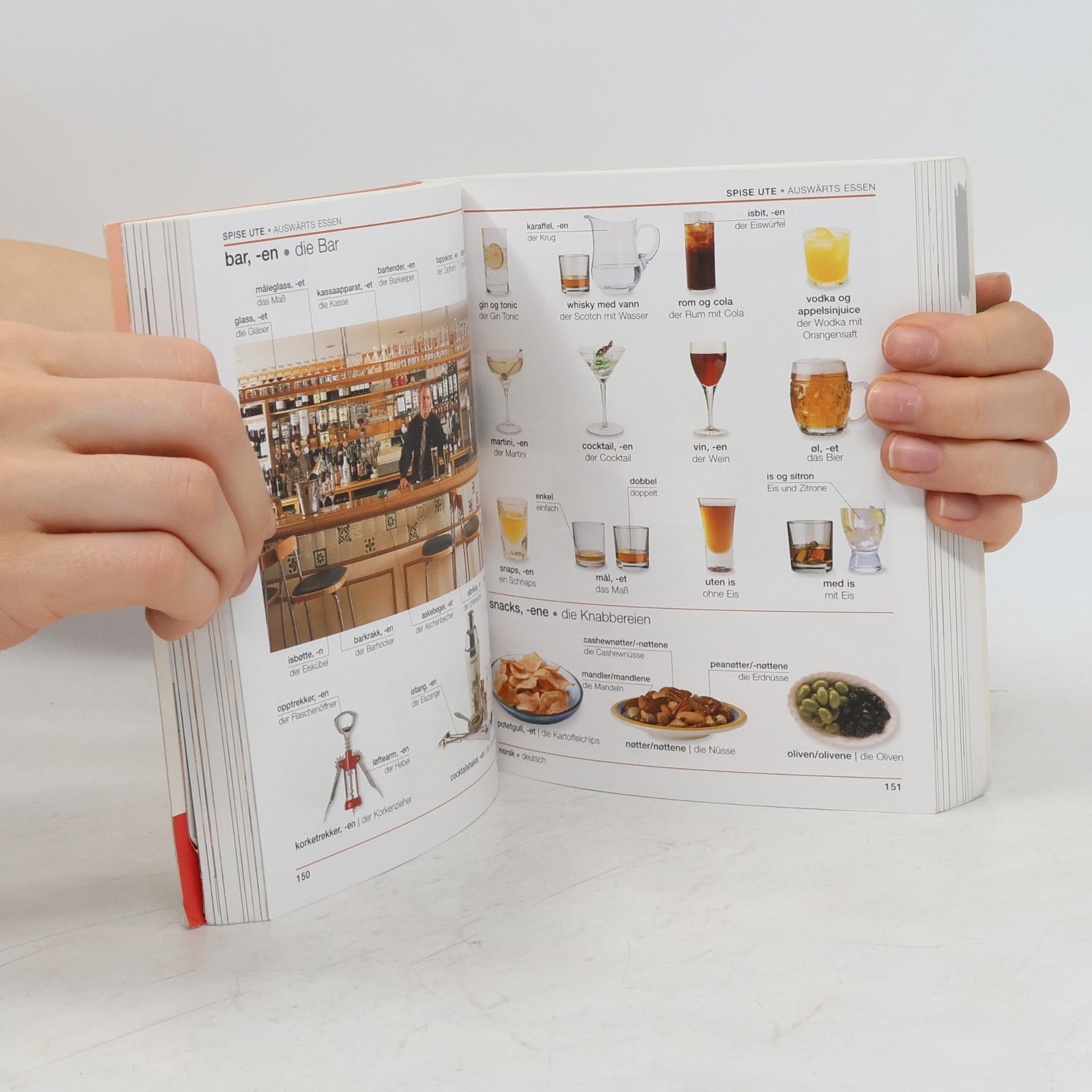Kolektiv autorů Visuelles Wörterbuch Norwegisch - Deutsch