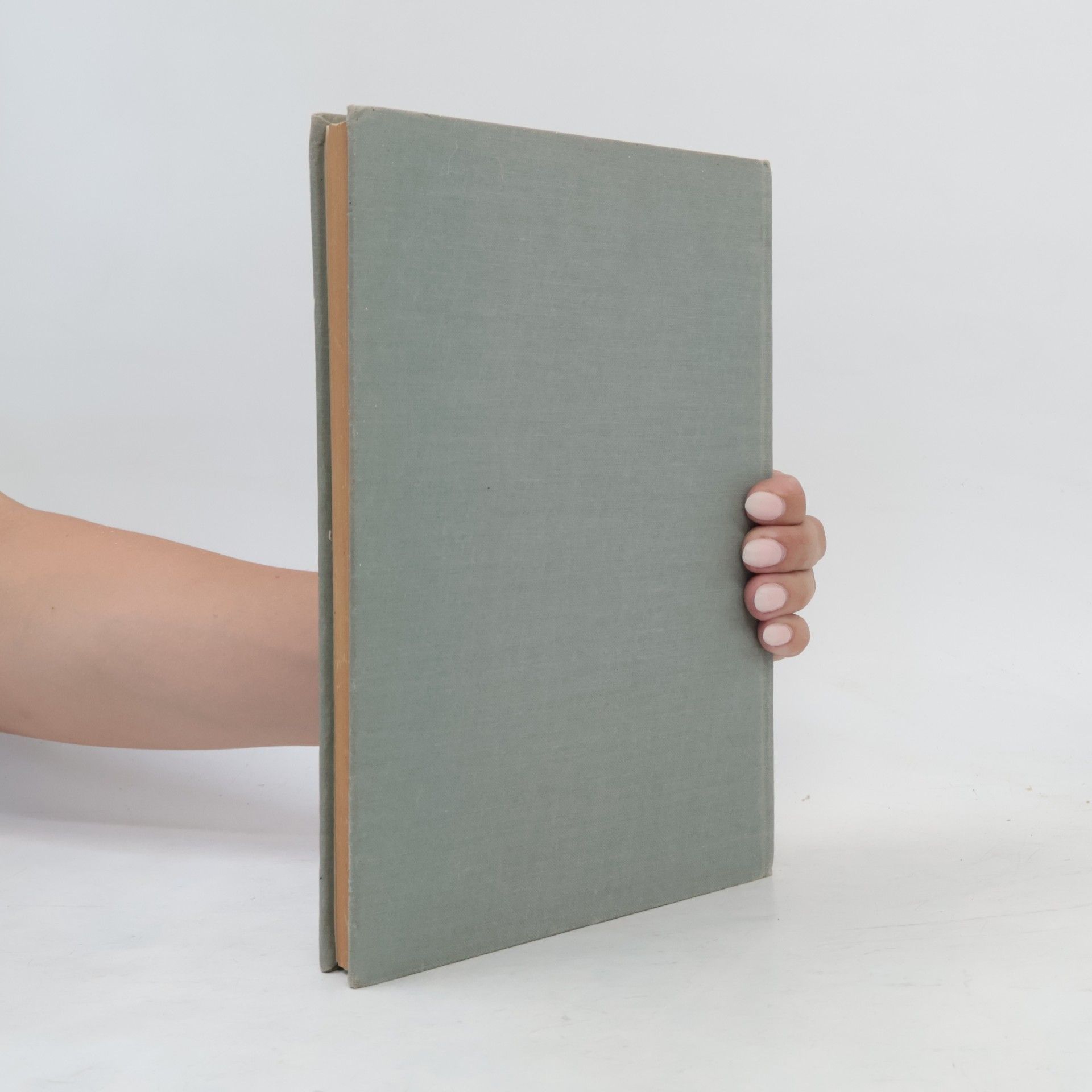 Zdeněk Blajer Přehledné dějiny literatury