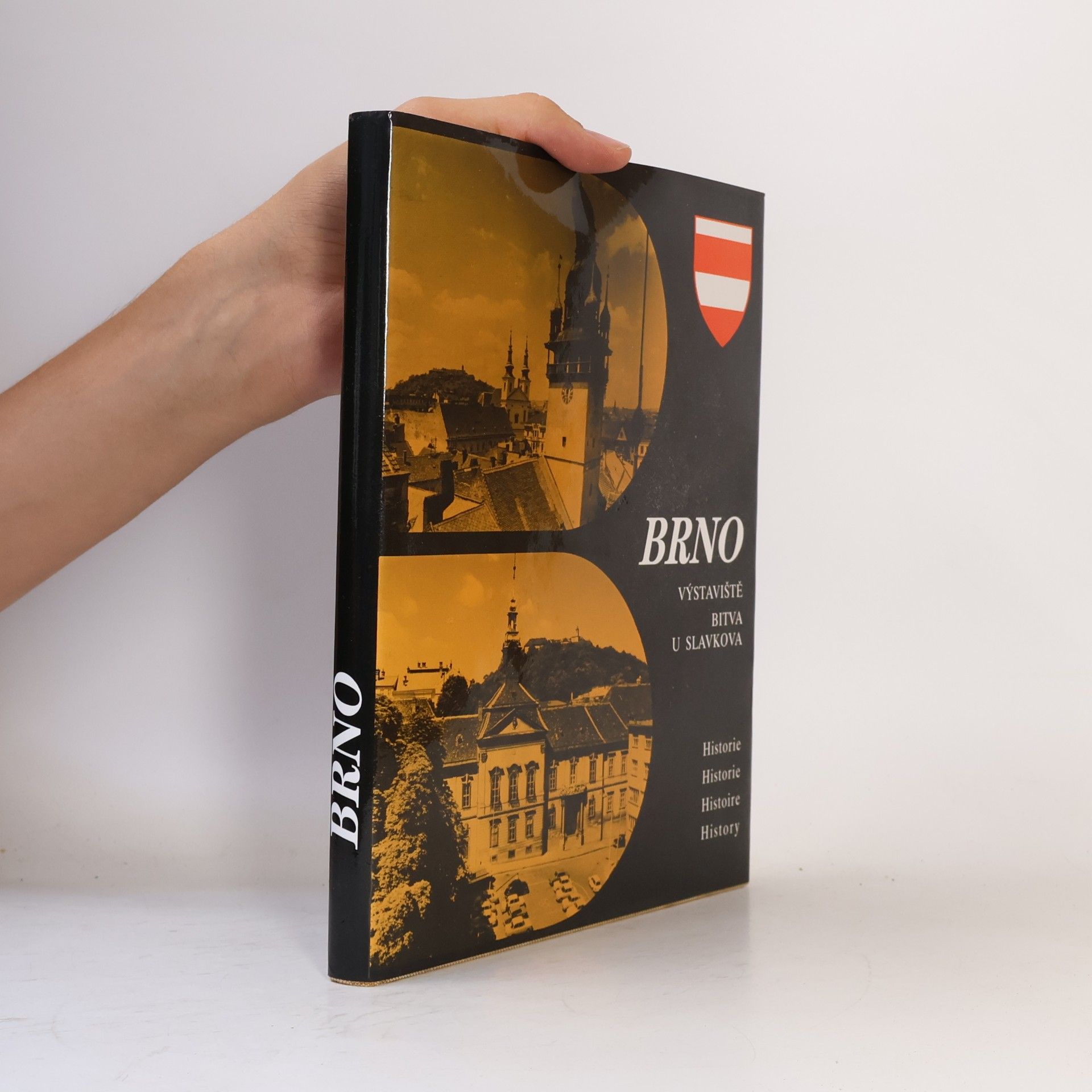 Brno. Výstaviště. Bitva u Slavkova
