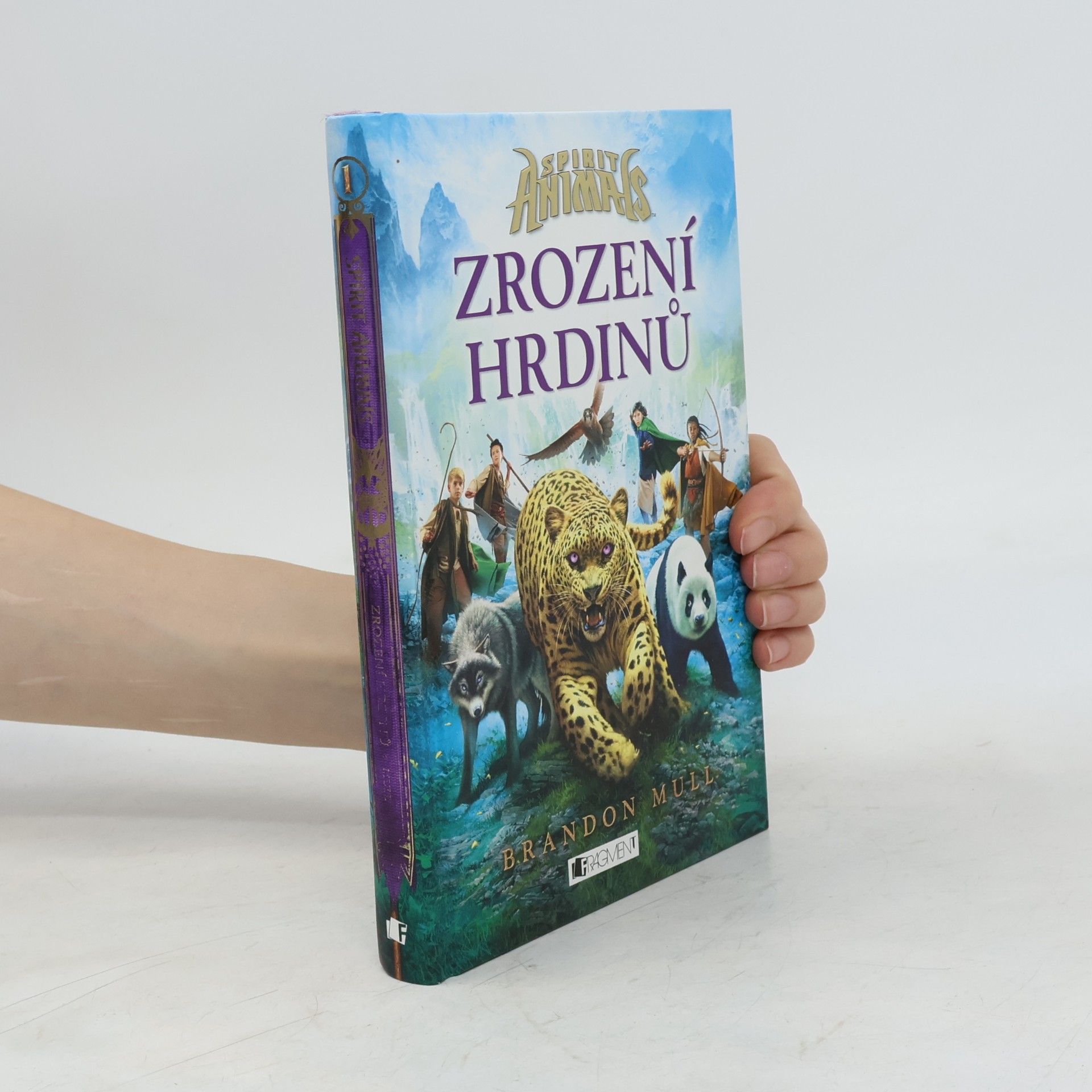Brandon Mull Zrození hrdinů