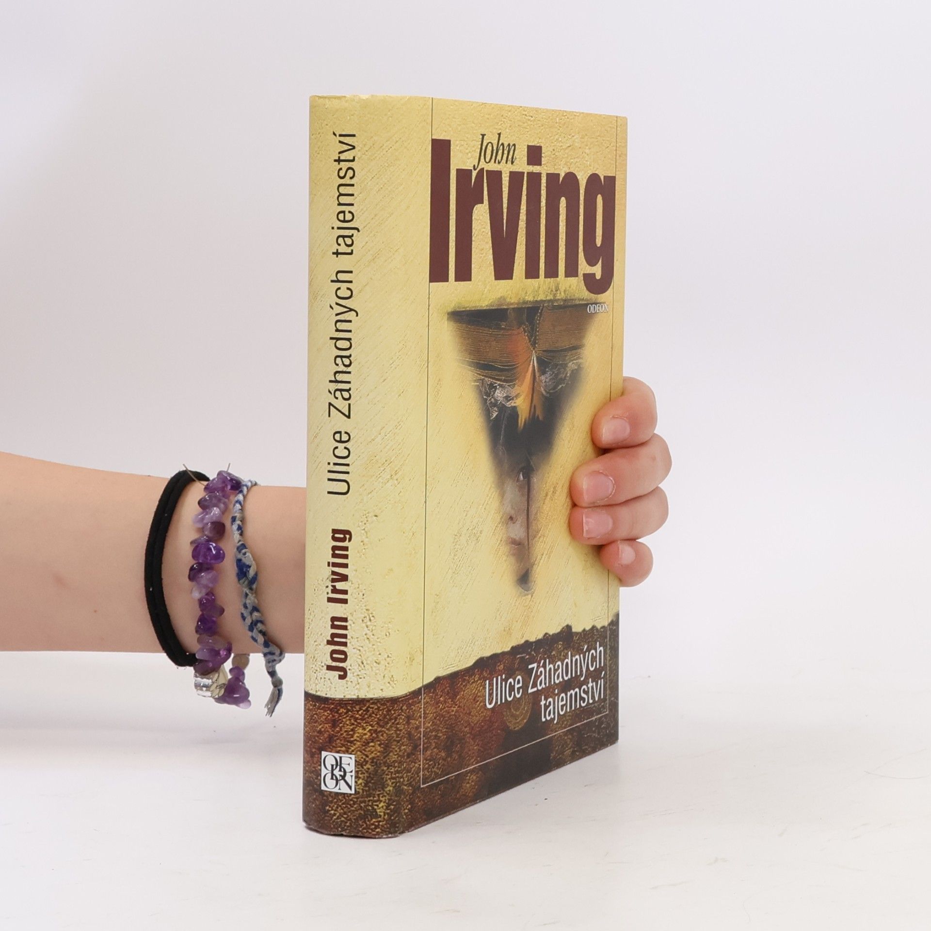 John Irving Ulice Záhadných tajemství