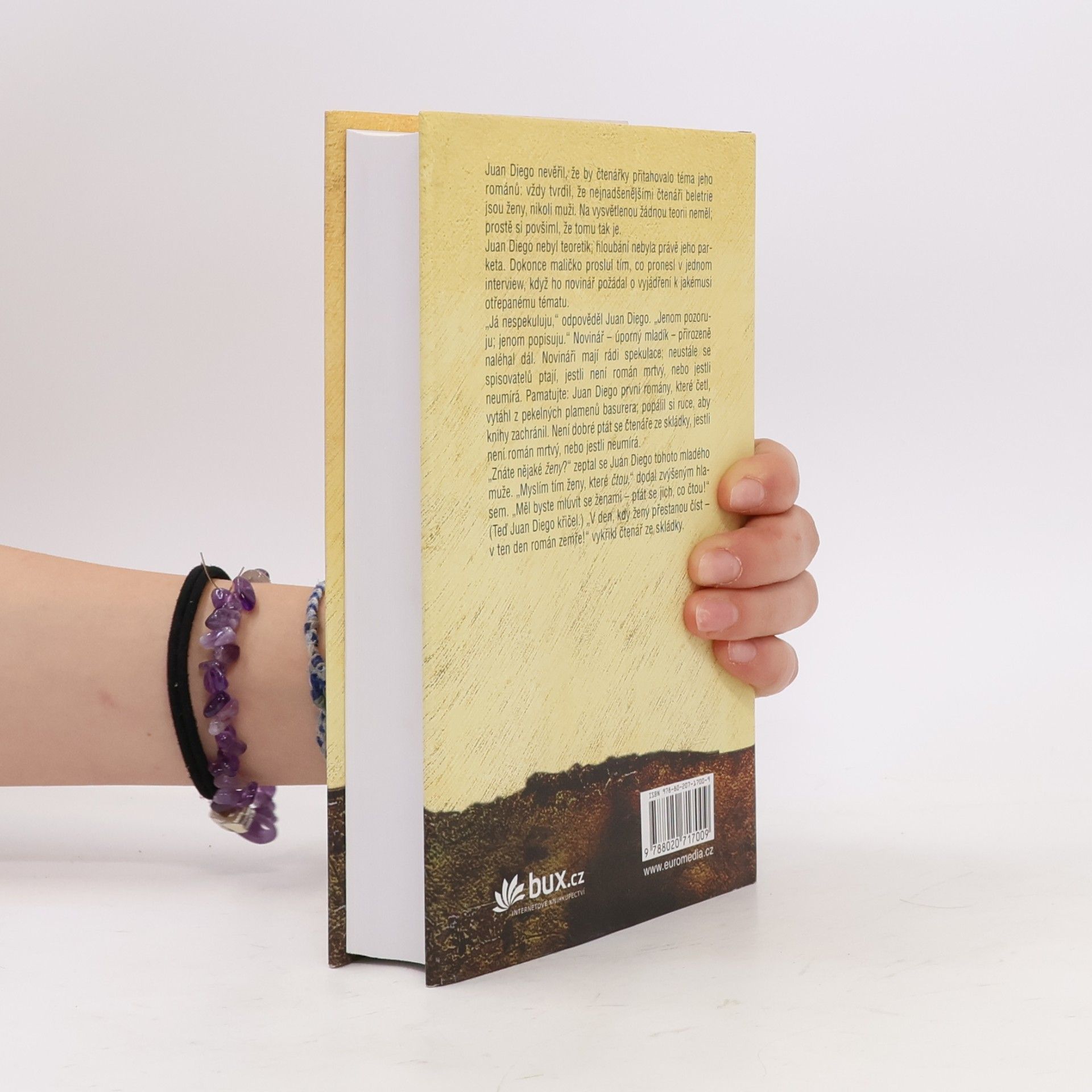 John Irving Ulice Záhadných tajemství