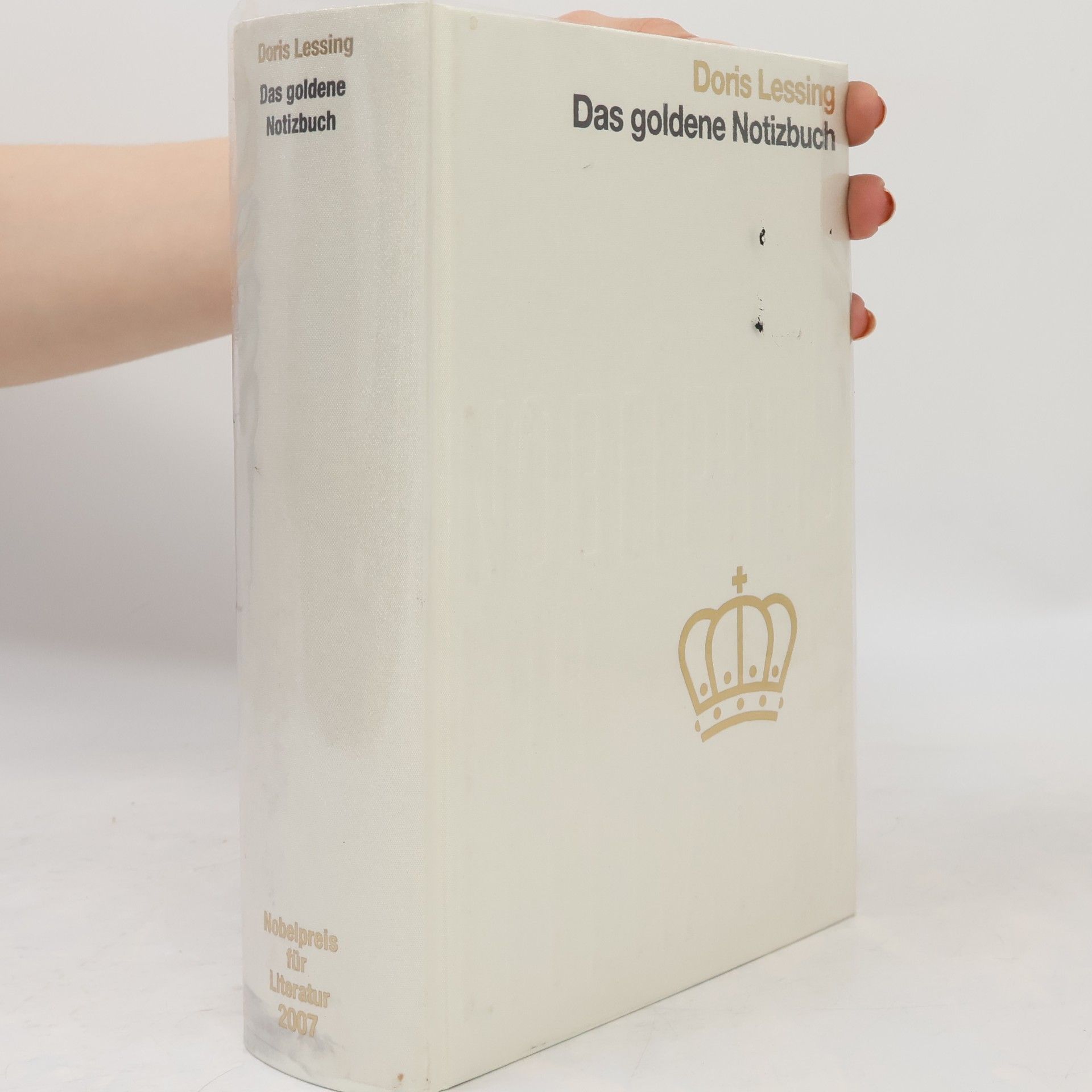 Doris Lessing Das goldene Notizbuch