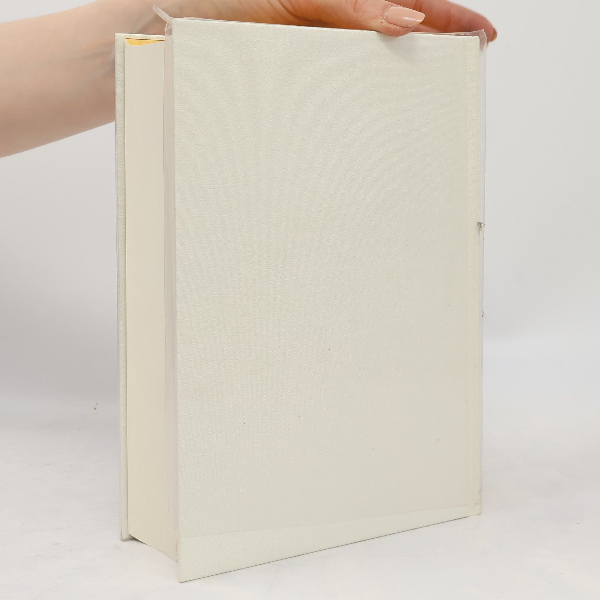 Doris Lessing Das goldene Notizbuch