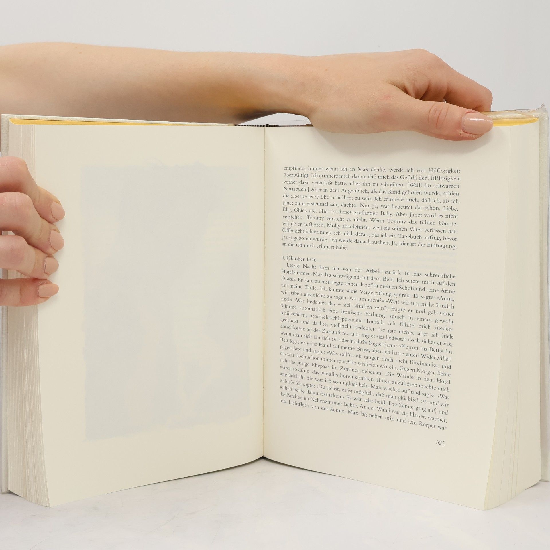 Doris Lessing Das goldene Notizbuch