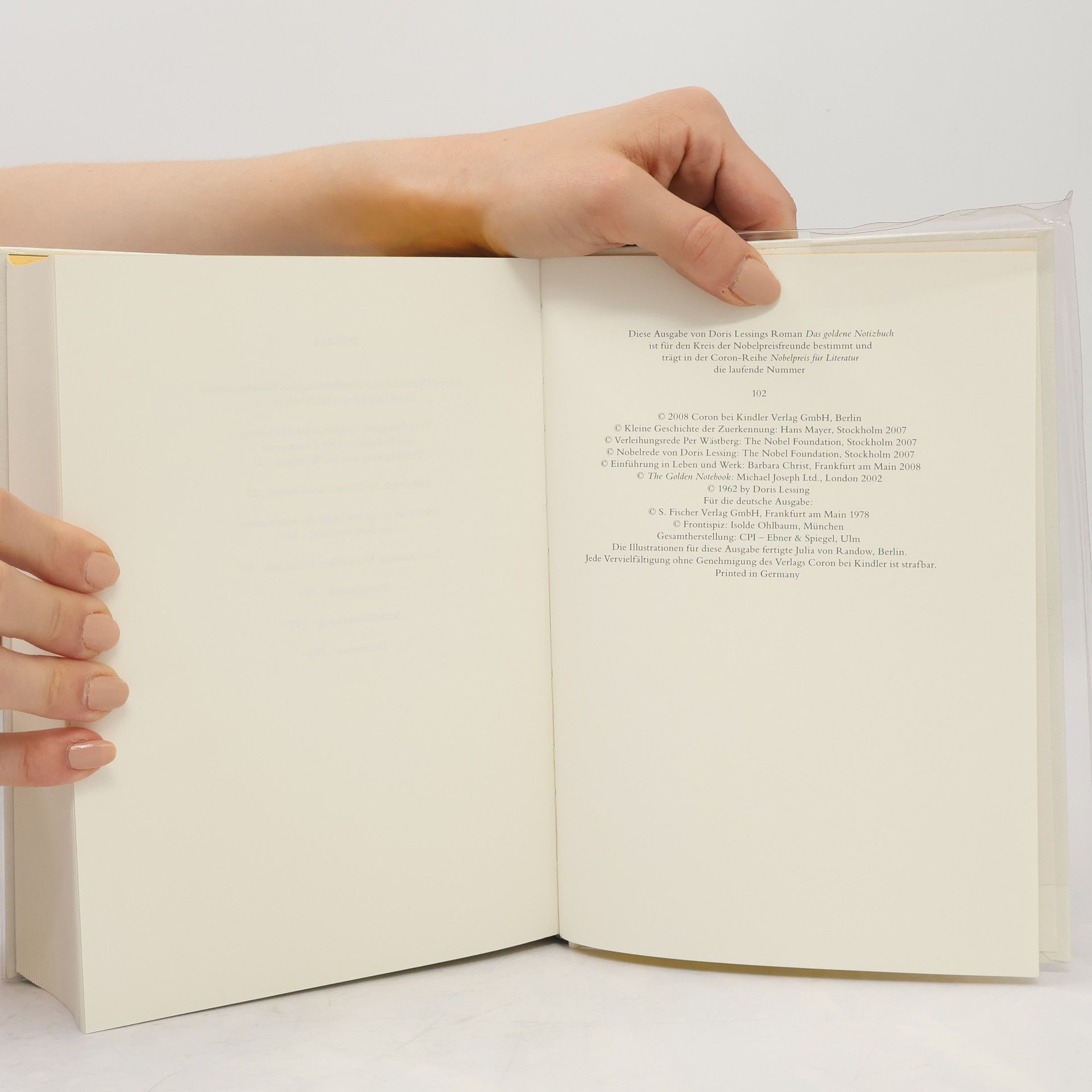 Doris Lessing Das goldene Notizbuch