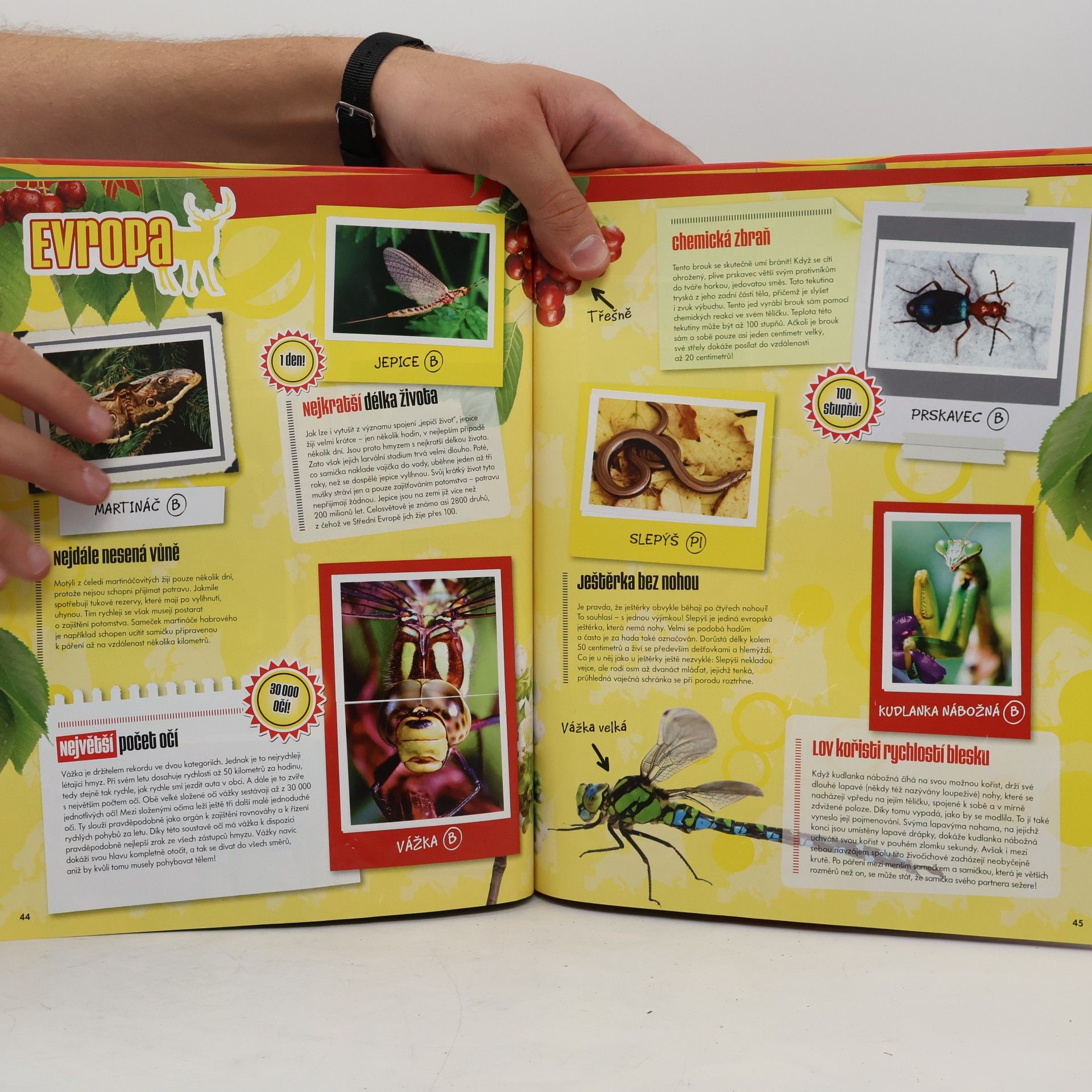 Autores varios Kniha samolepek. Rekordy z říše zvířat