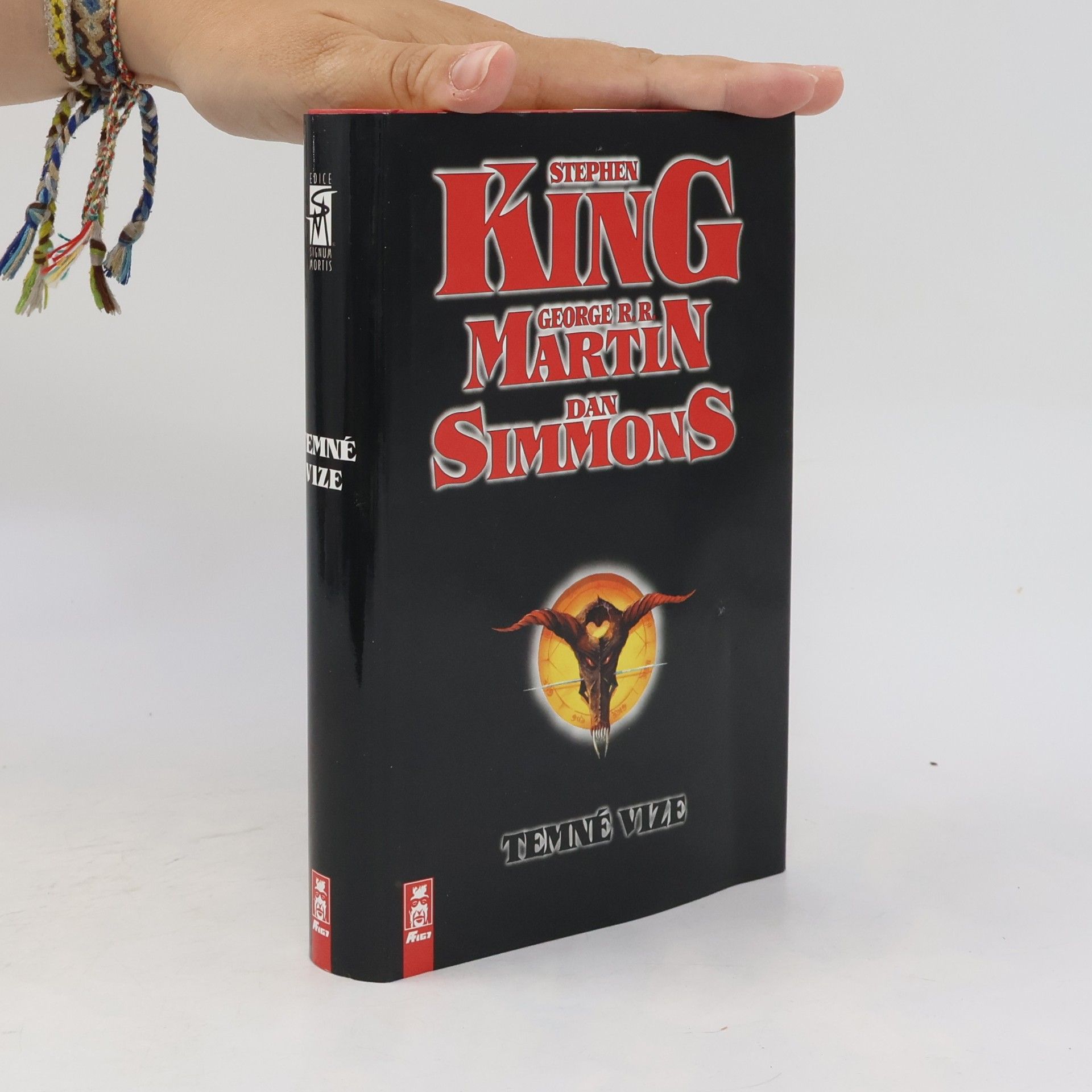 Stephen King Temné vize