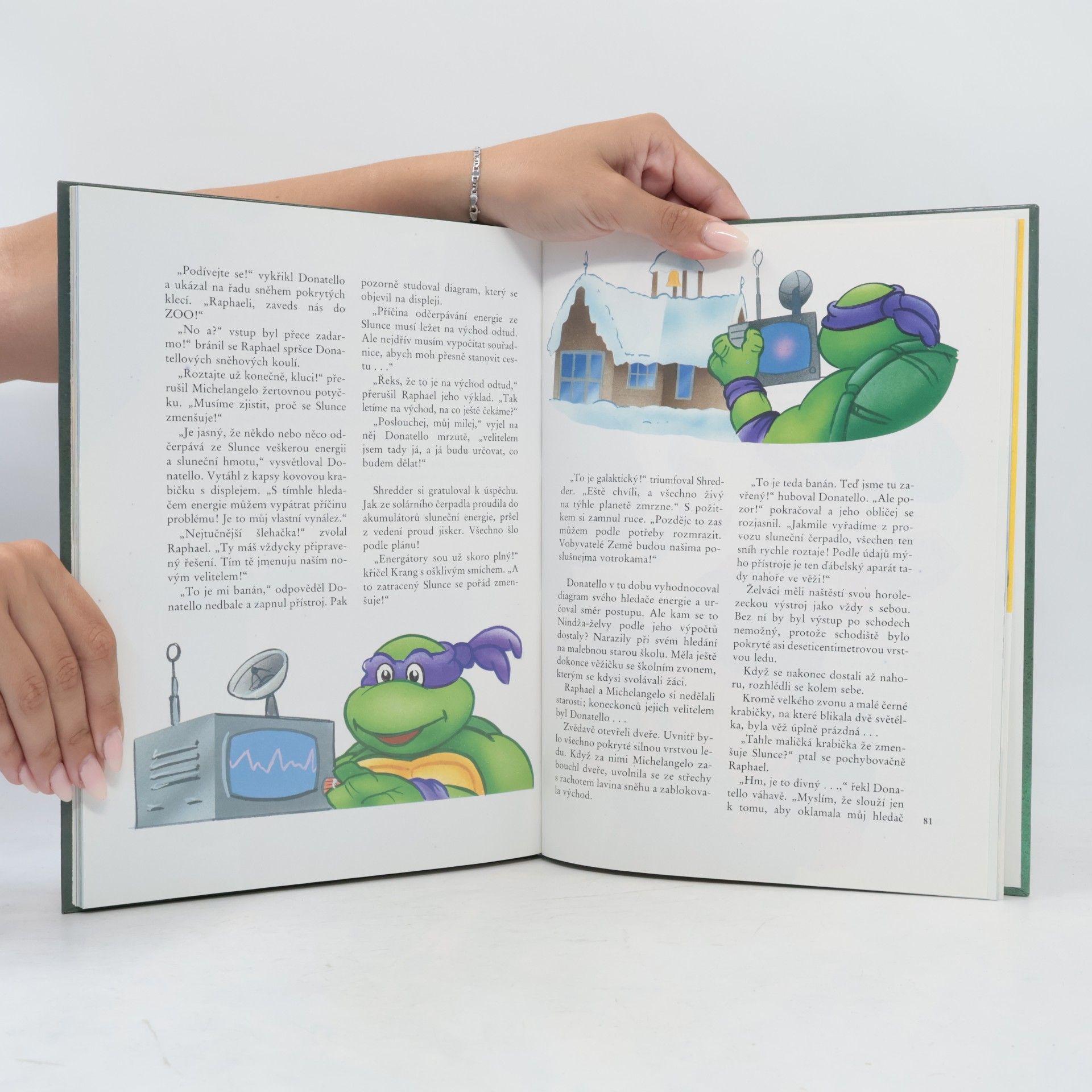 Maureen Spurgeon Teenage Mutant Ninja Turtles. Hrdinové z podzemí