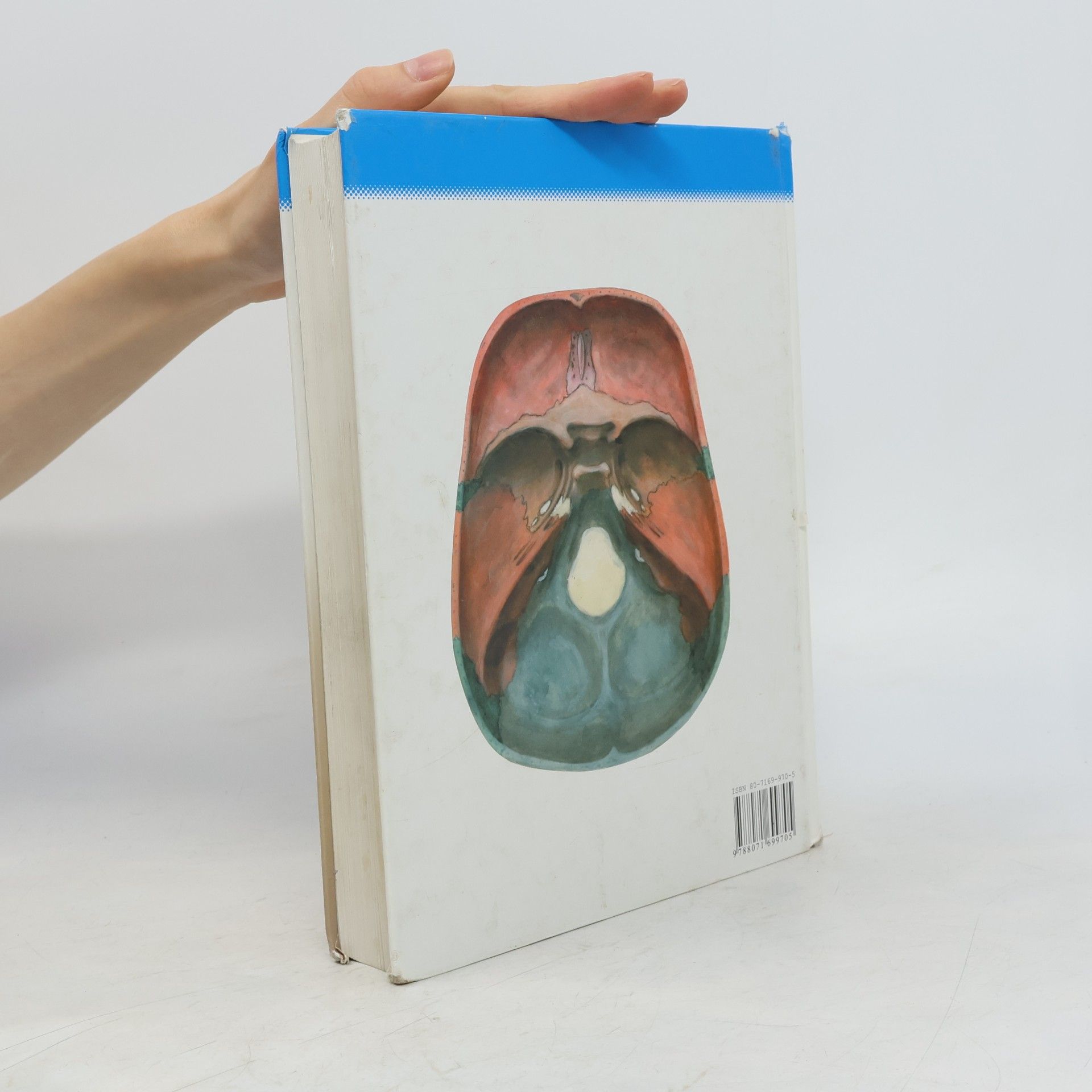 Radomír Čihák Anatomie 1