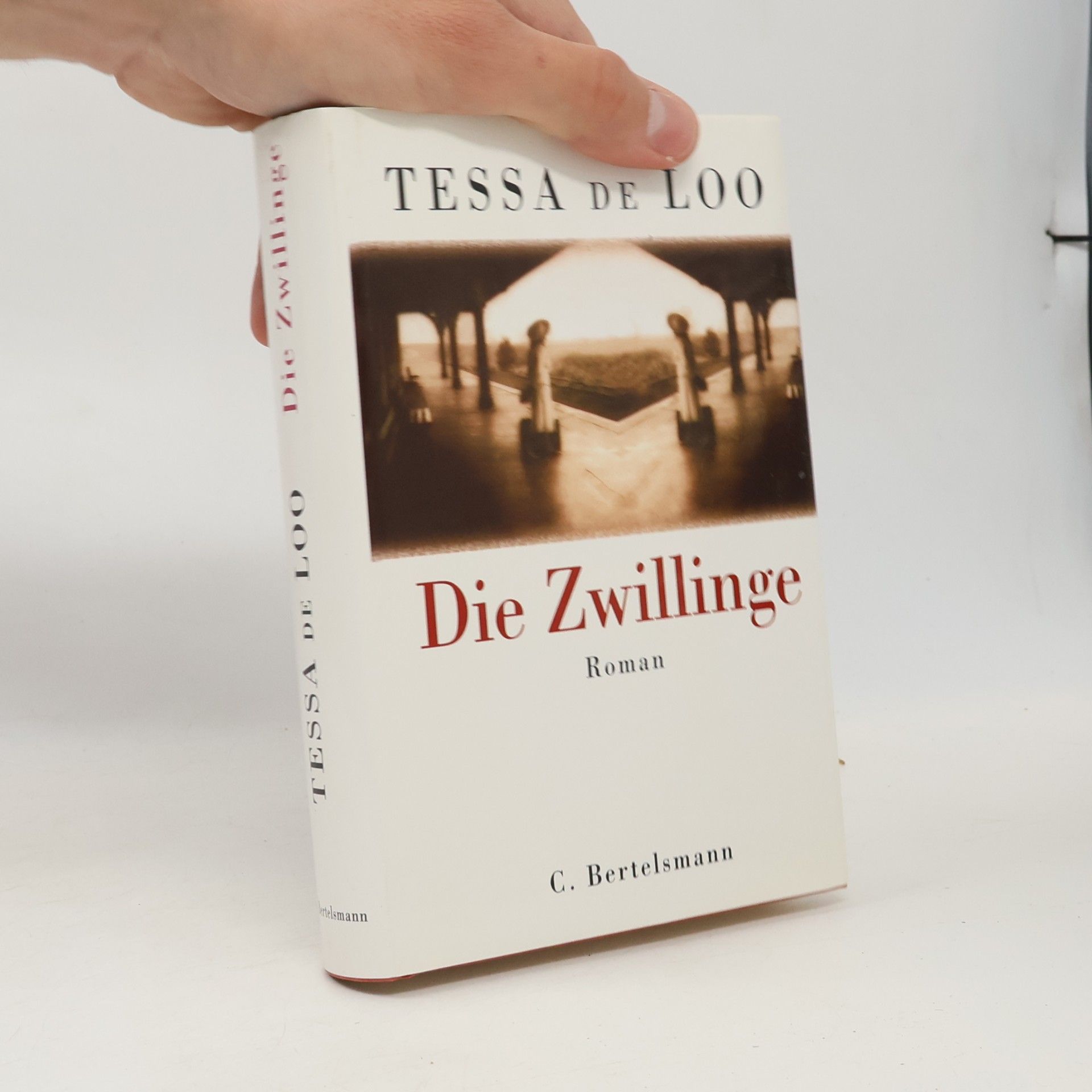 Tessa de Loo Die Zwillinge
