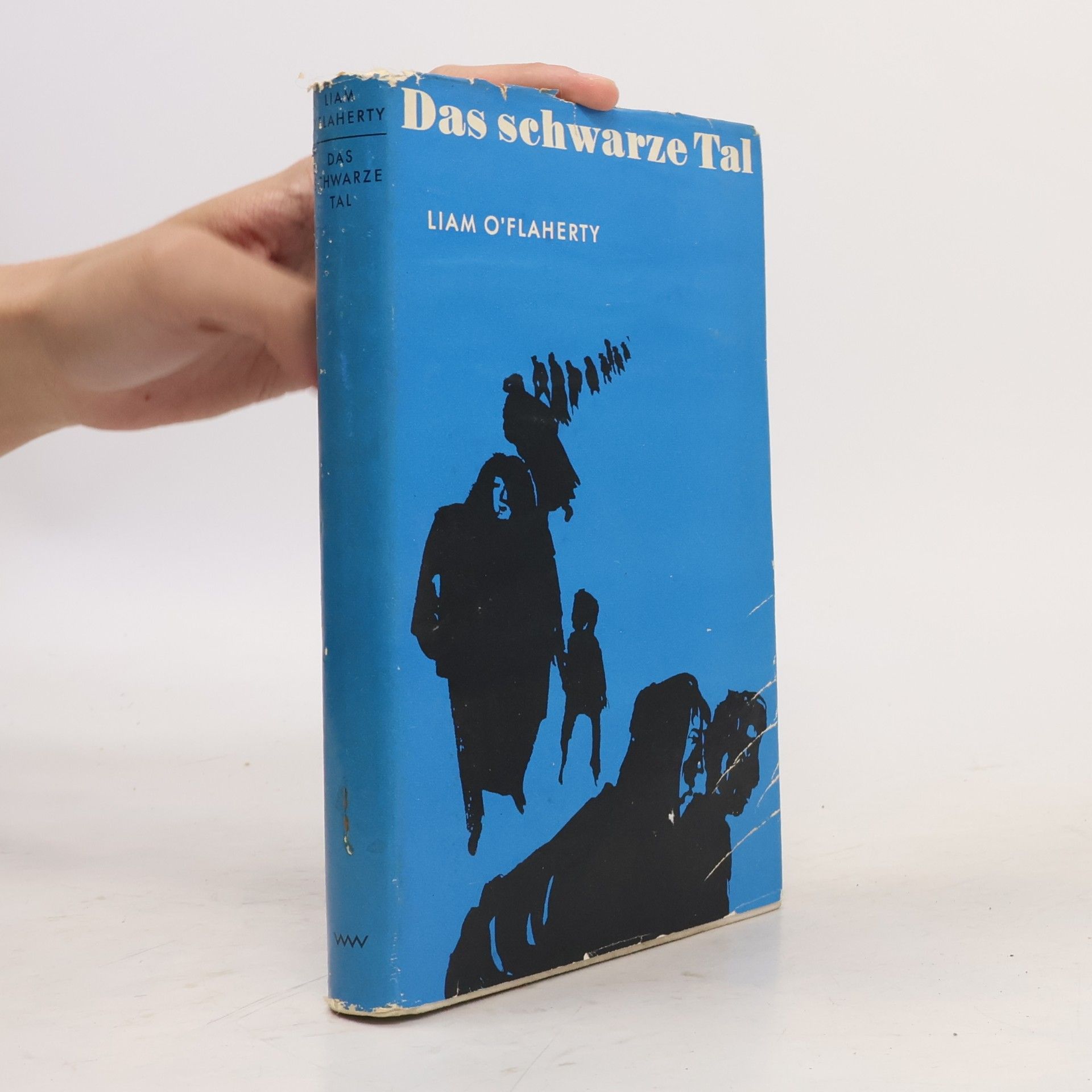 Das schwarze Tal