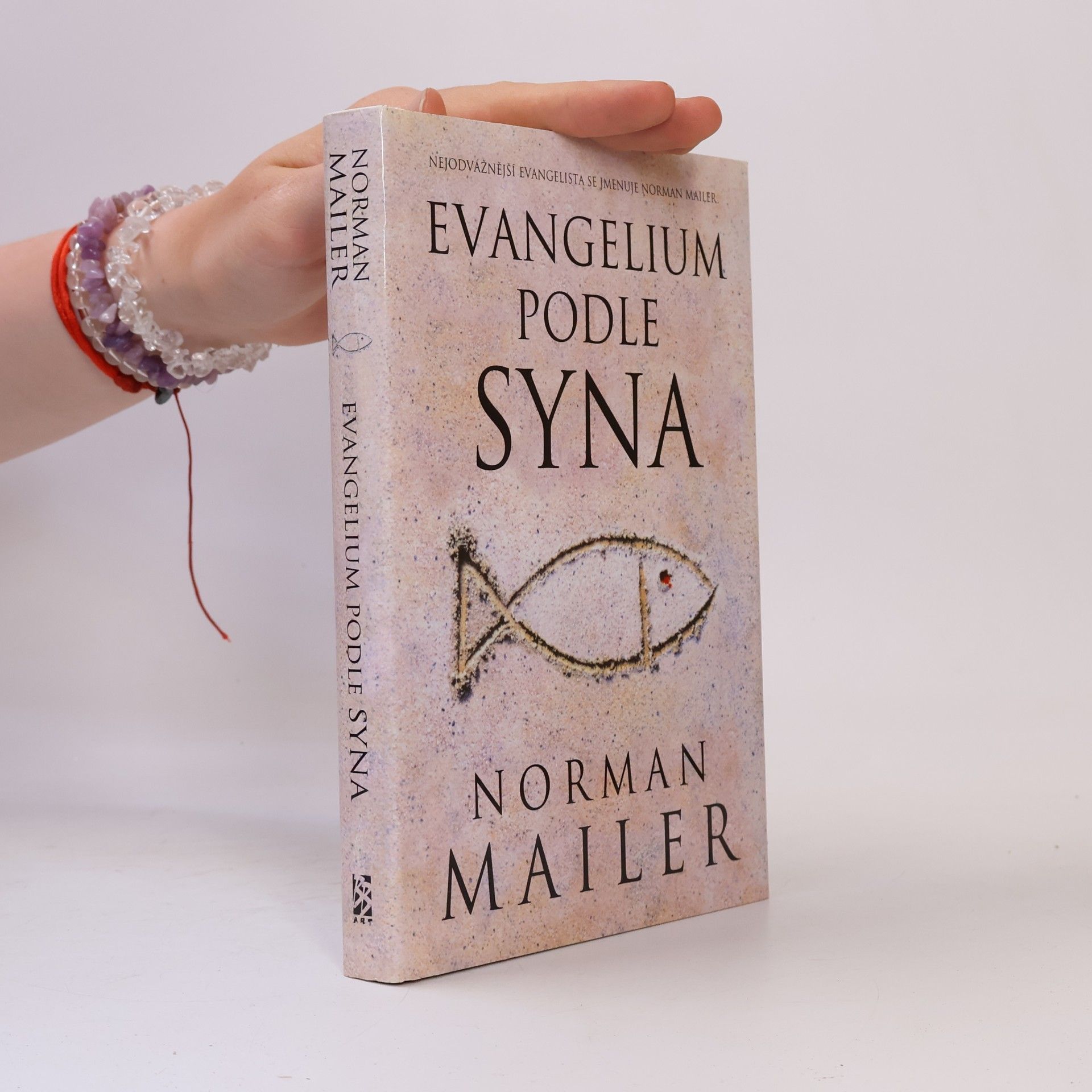 Evangelium podle syna