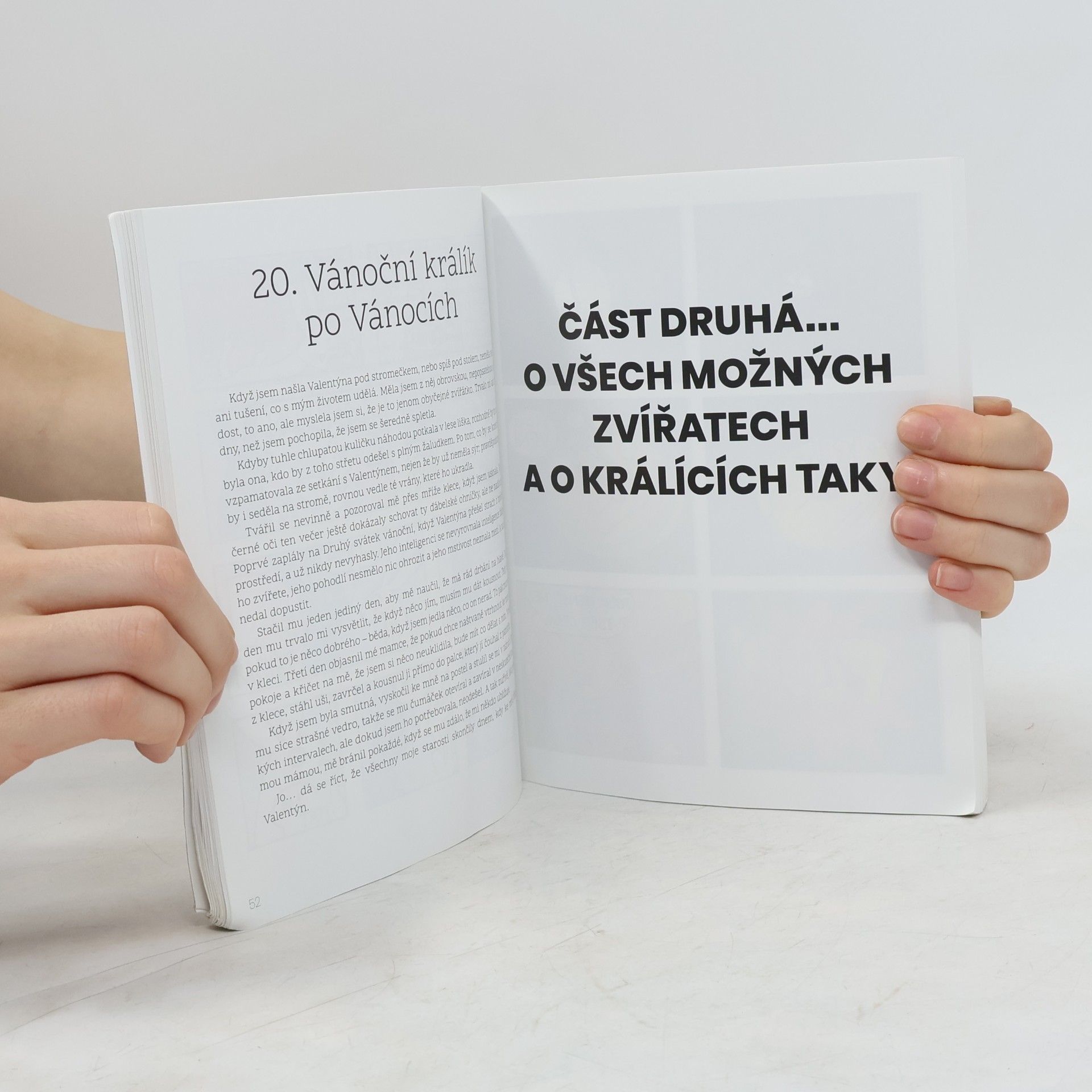 Klára Mayerová Kdy má králík bobky?