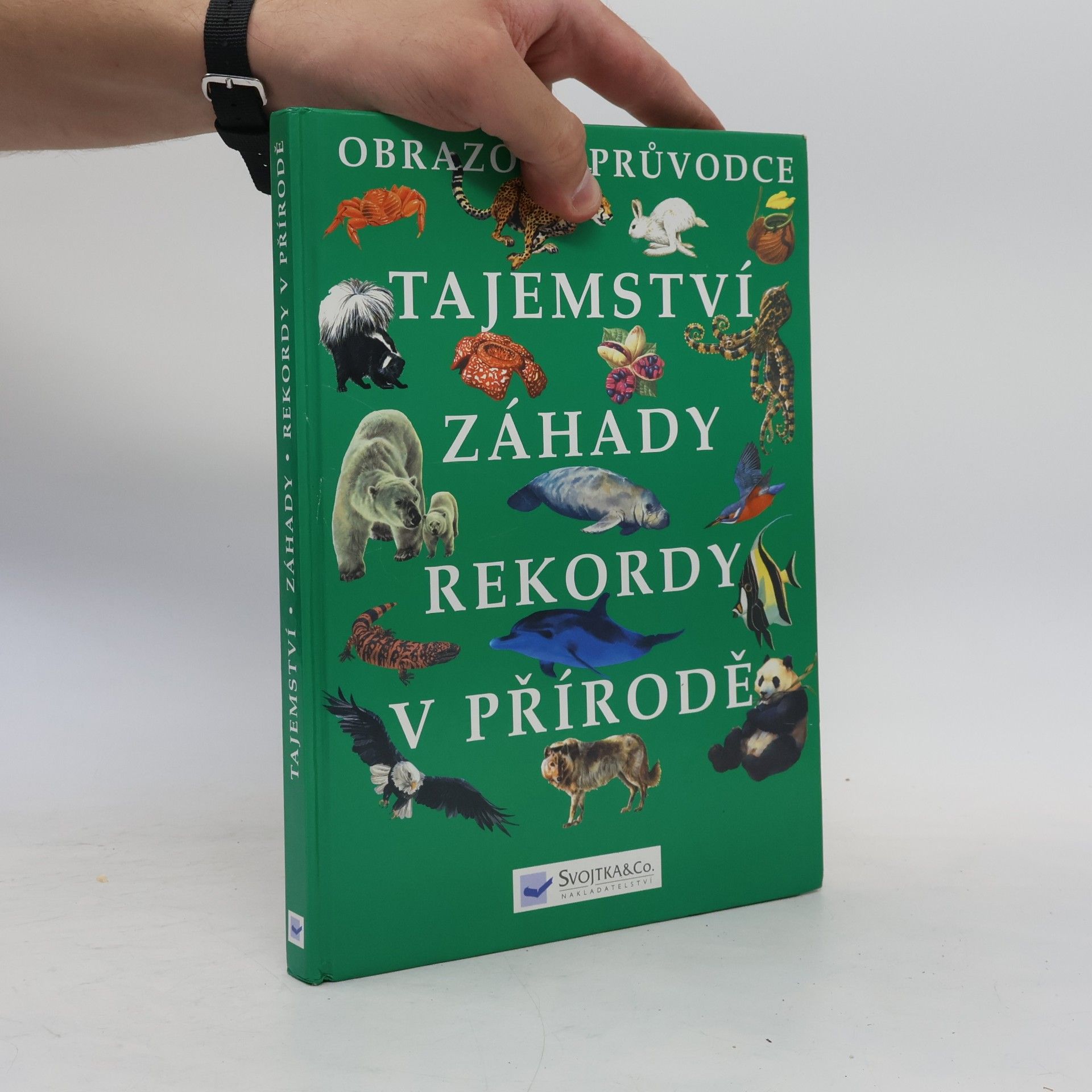 Autorenkollektiv Tajemství, záhady, rekordy v přírodě