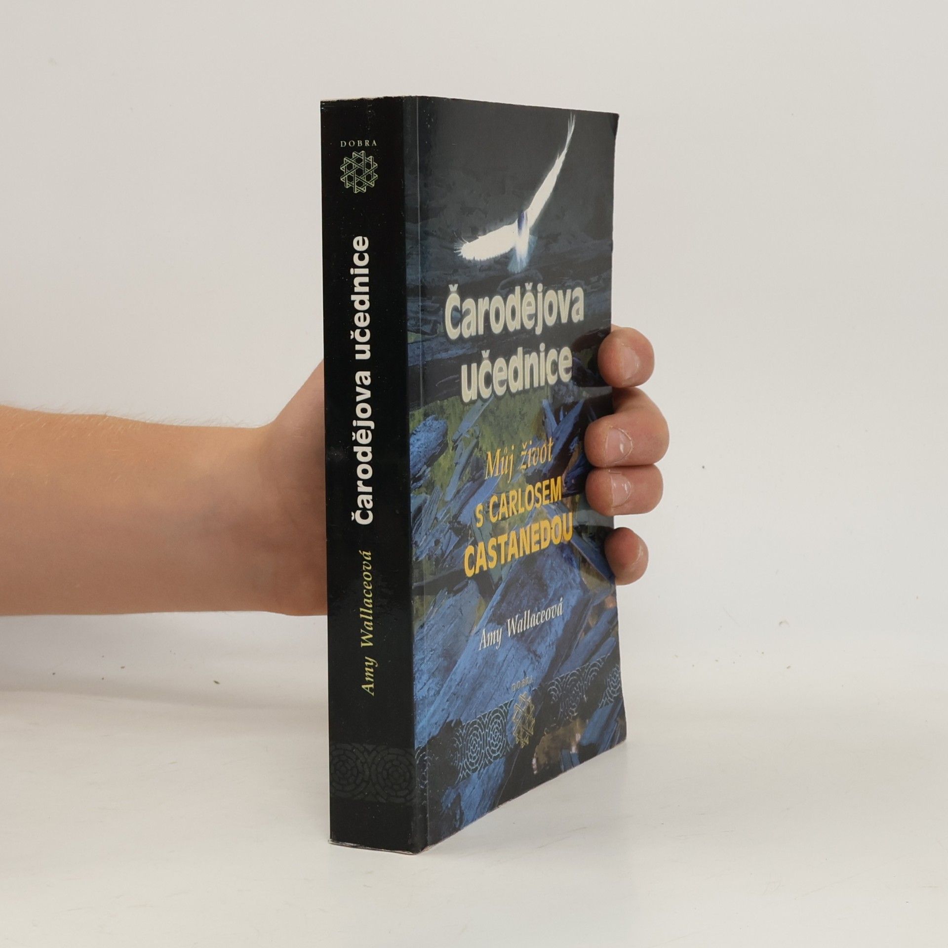 Amy Wallace Čarodějova učednice. Můj život s Carlosem Castanedou