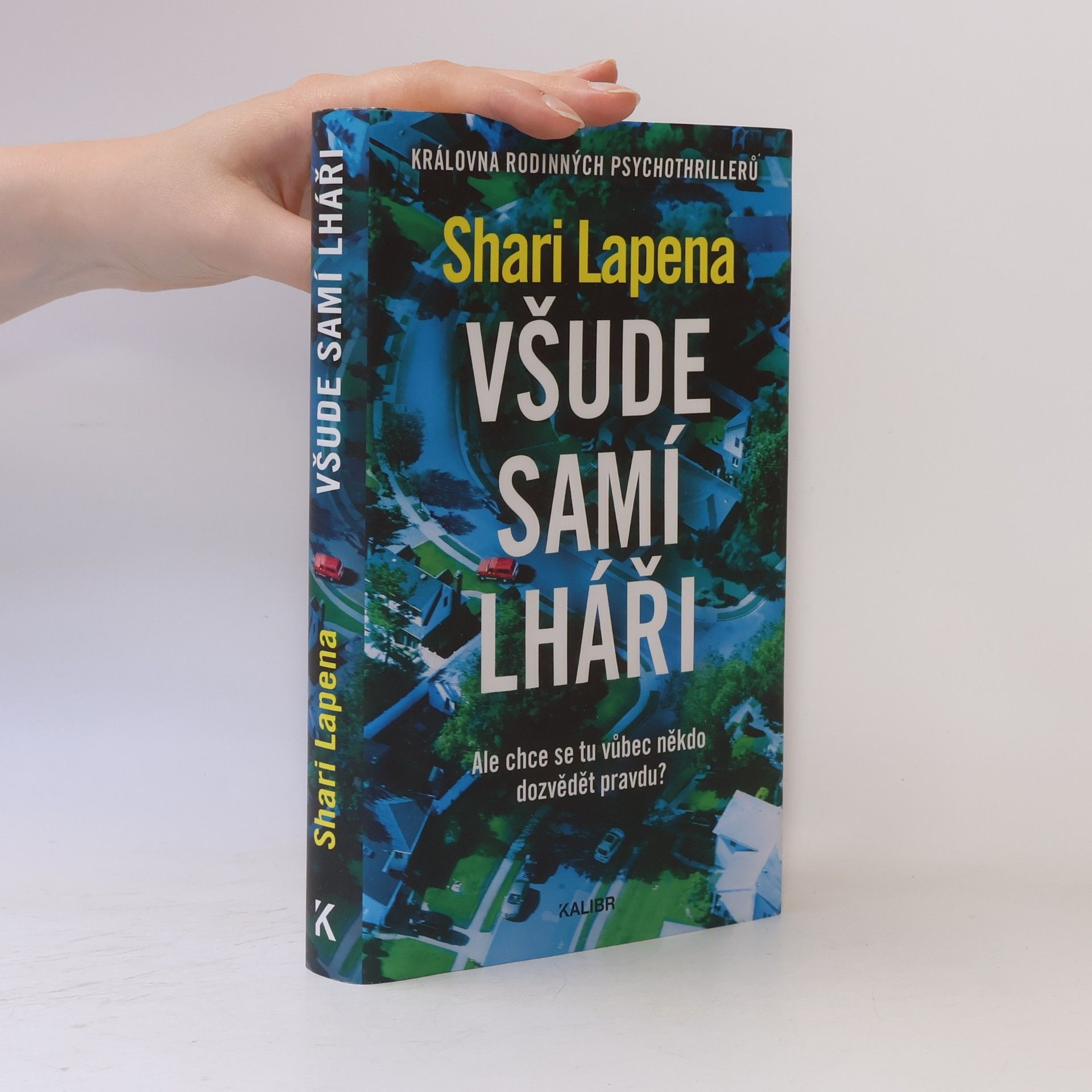 Shari Lapena Všude samí lháři