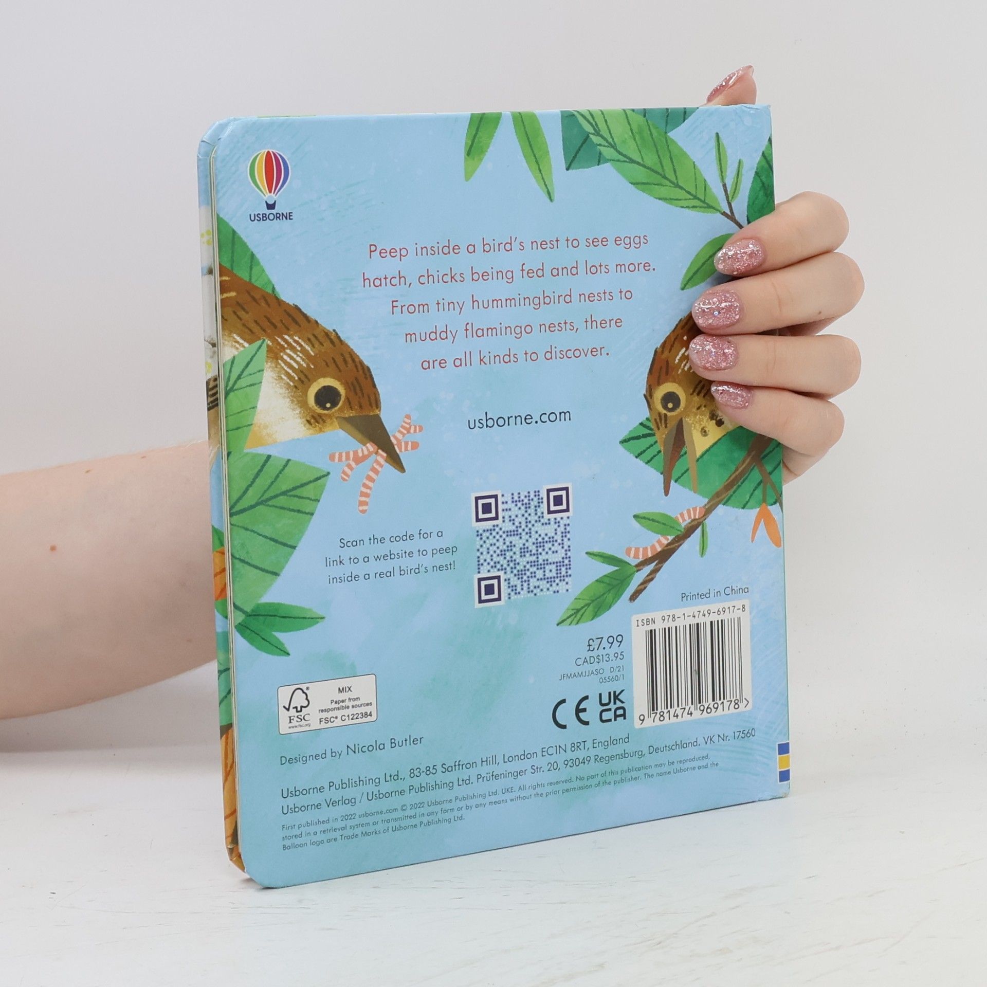 Anna Milbourne Peep Inside a Bird's Nest