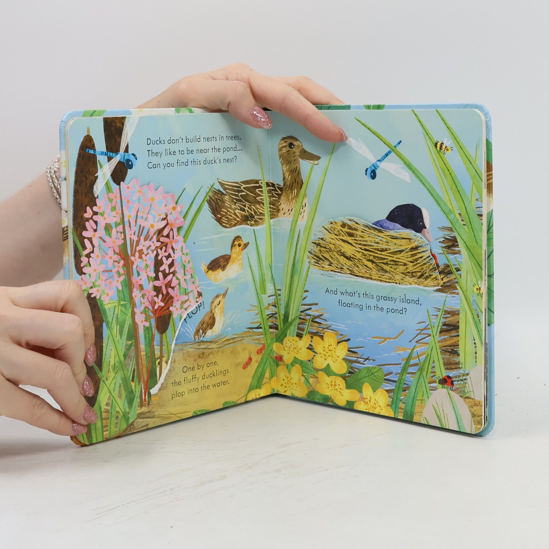 Anna Milbourne Peep Inside a Bird's Nest