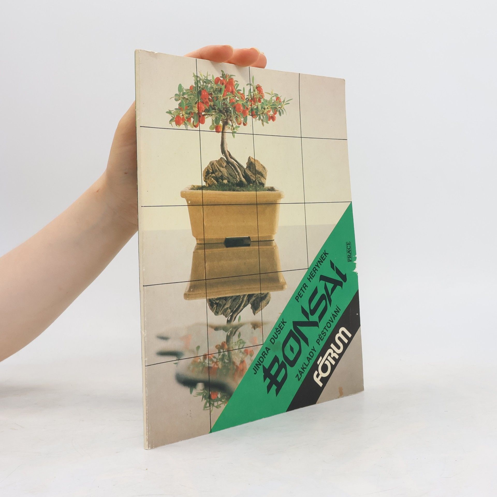 Bonsai. Základy pěstování