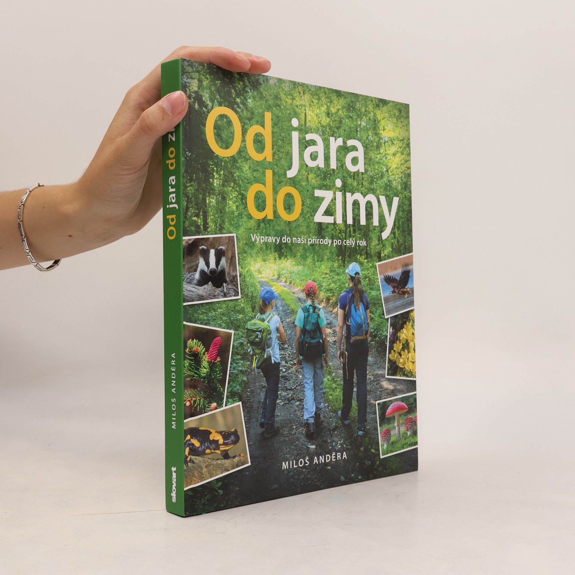 Od jara do zimy