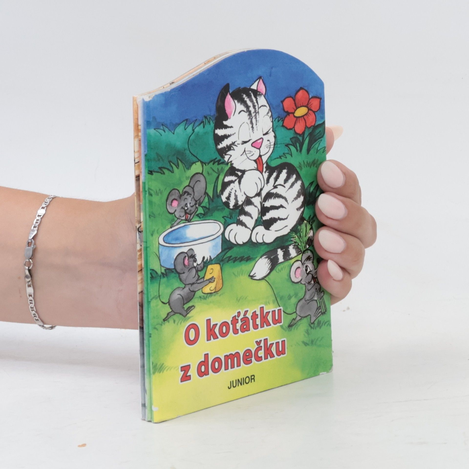 Zuzana Pospíšilová O koťátku z domečku