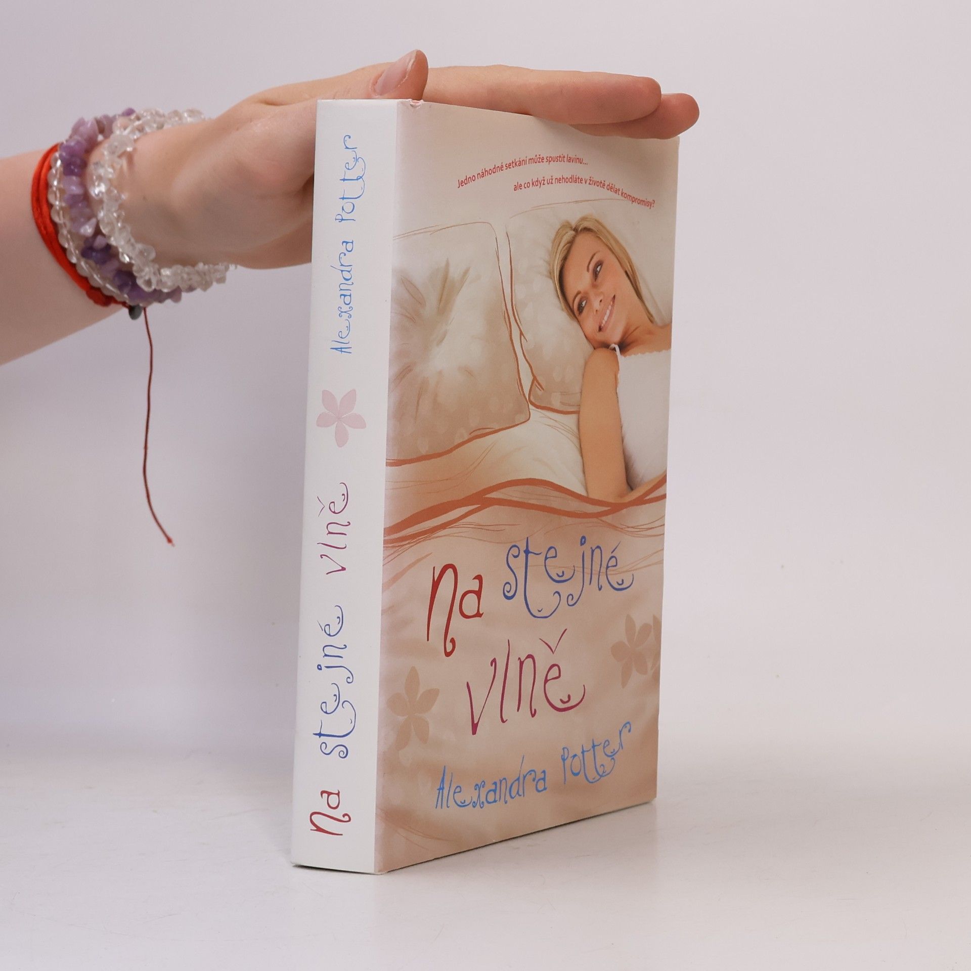 Alexandra Potter Na stejné vlně