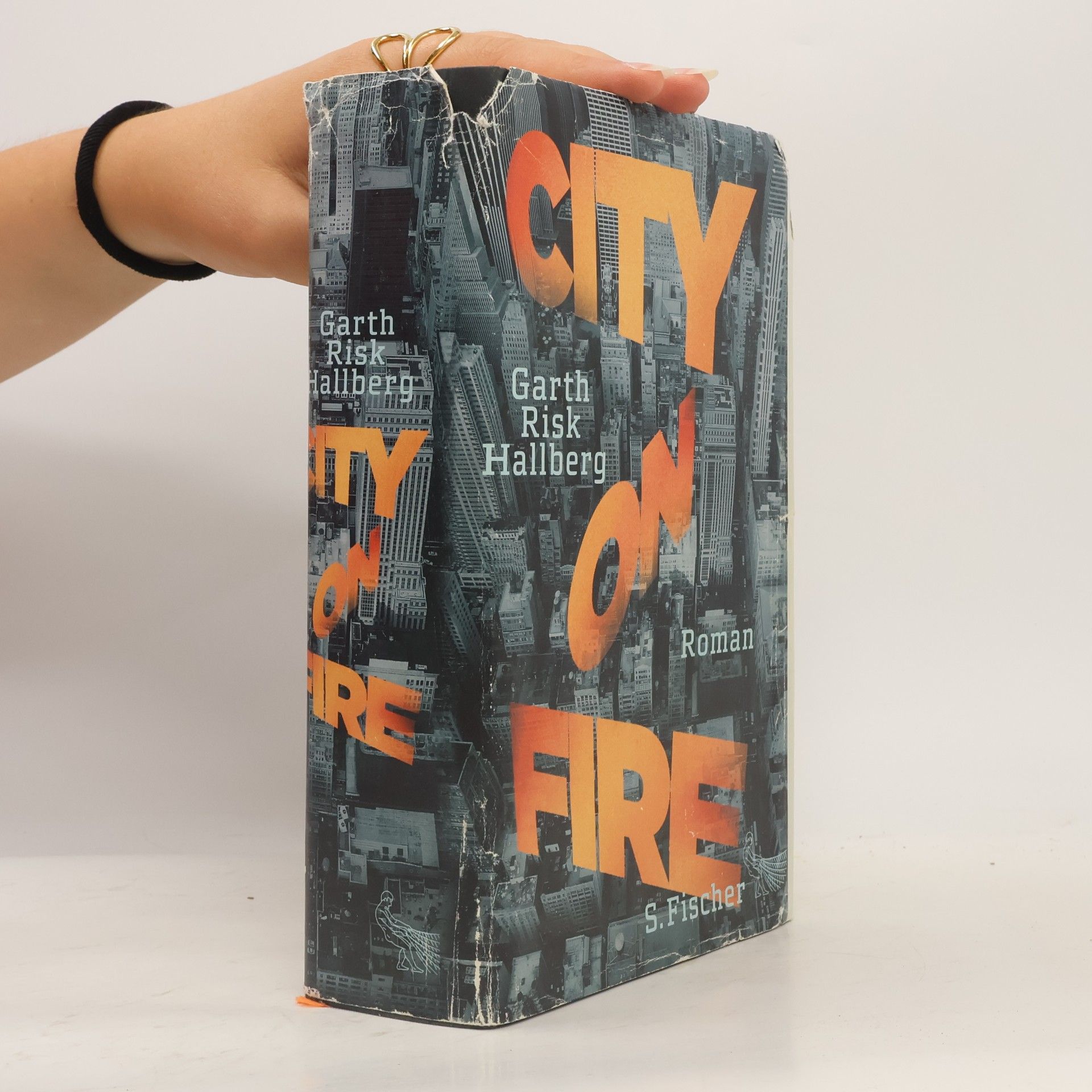 Garth Risk Hallberg City On Fire