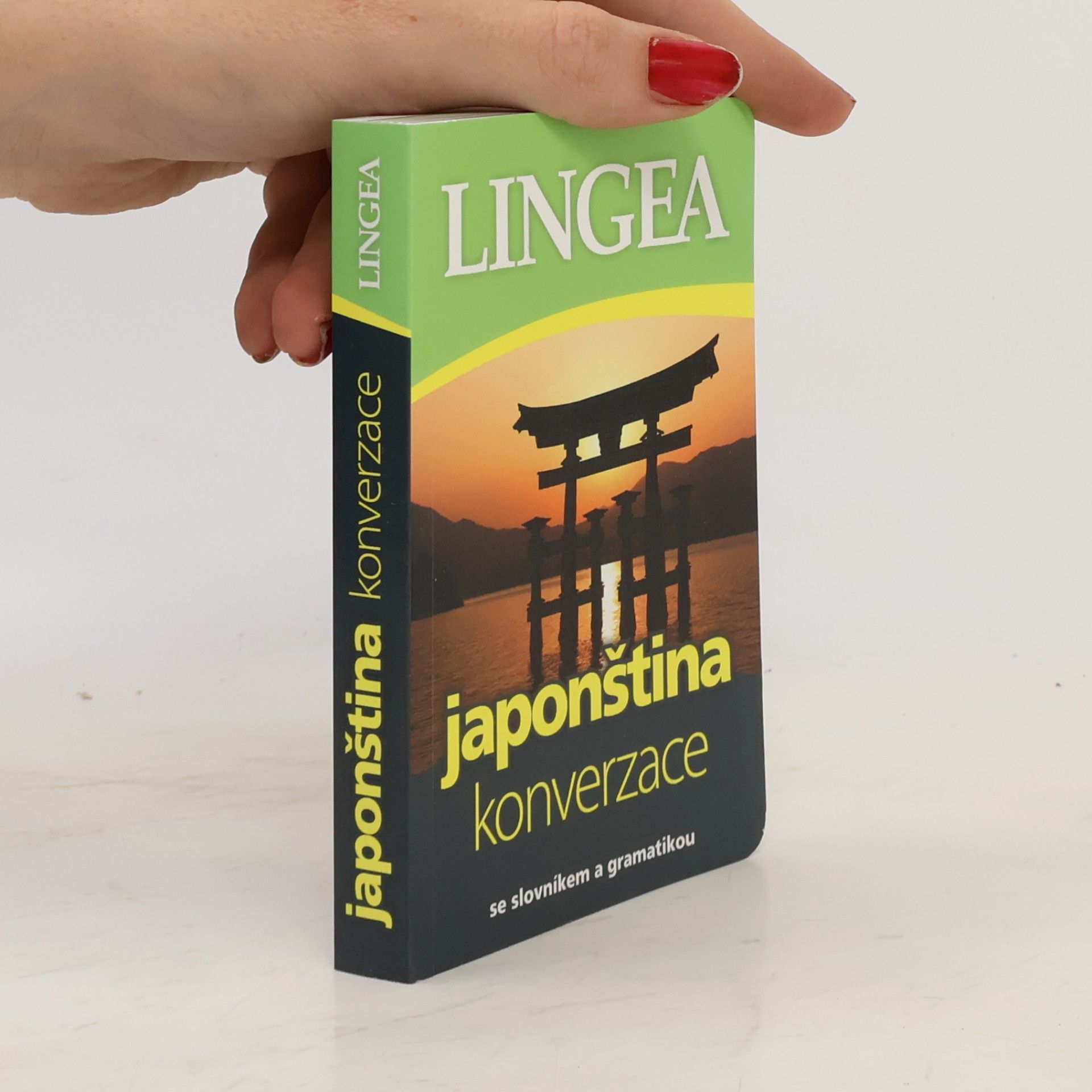 Kolektiv autorů Japonština konverzace