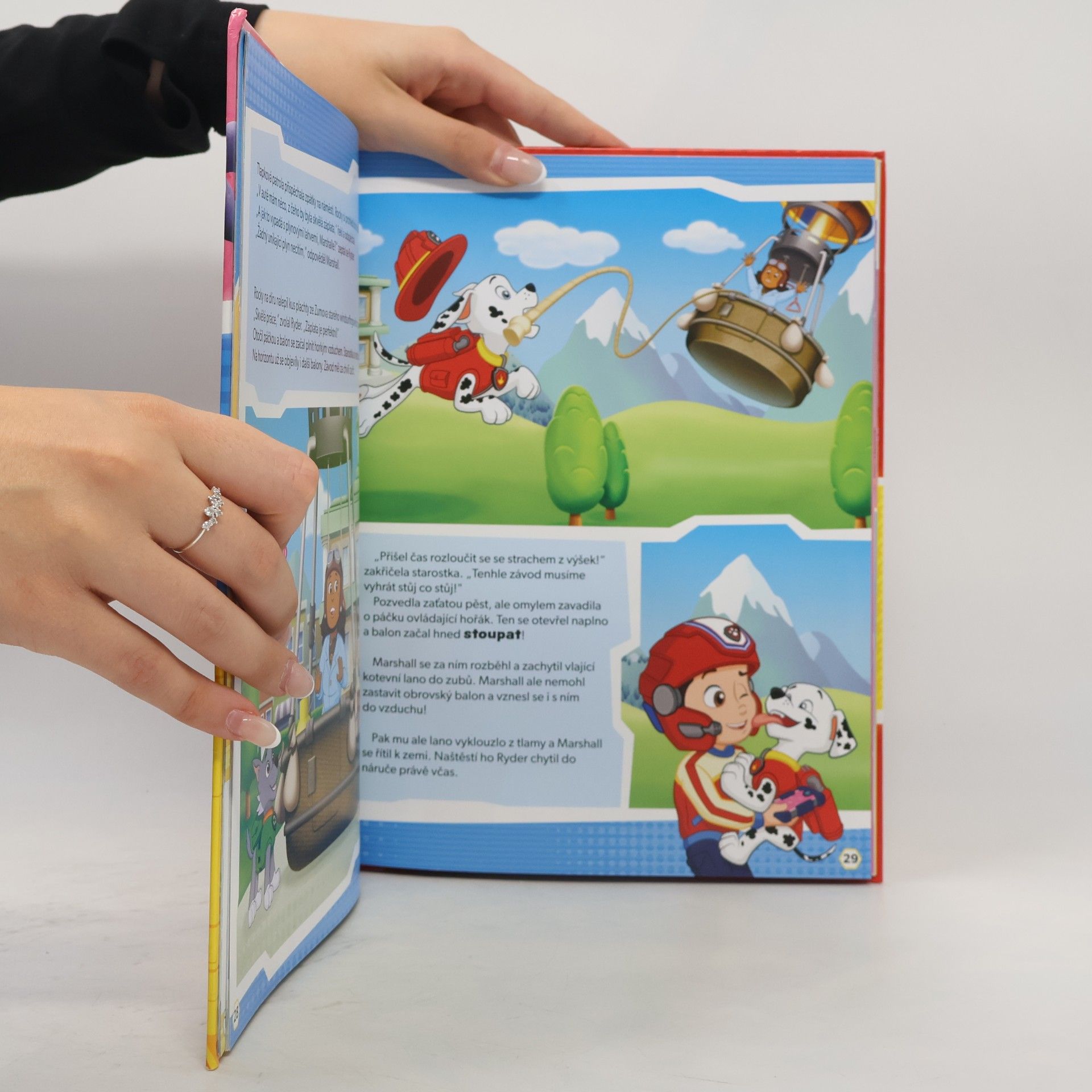 Autores varios Tlapková patrola - Knížka na celý rok