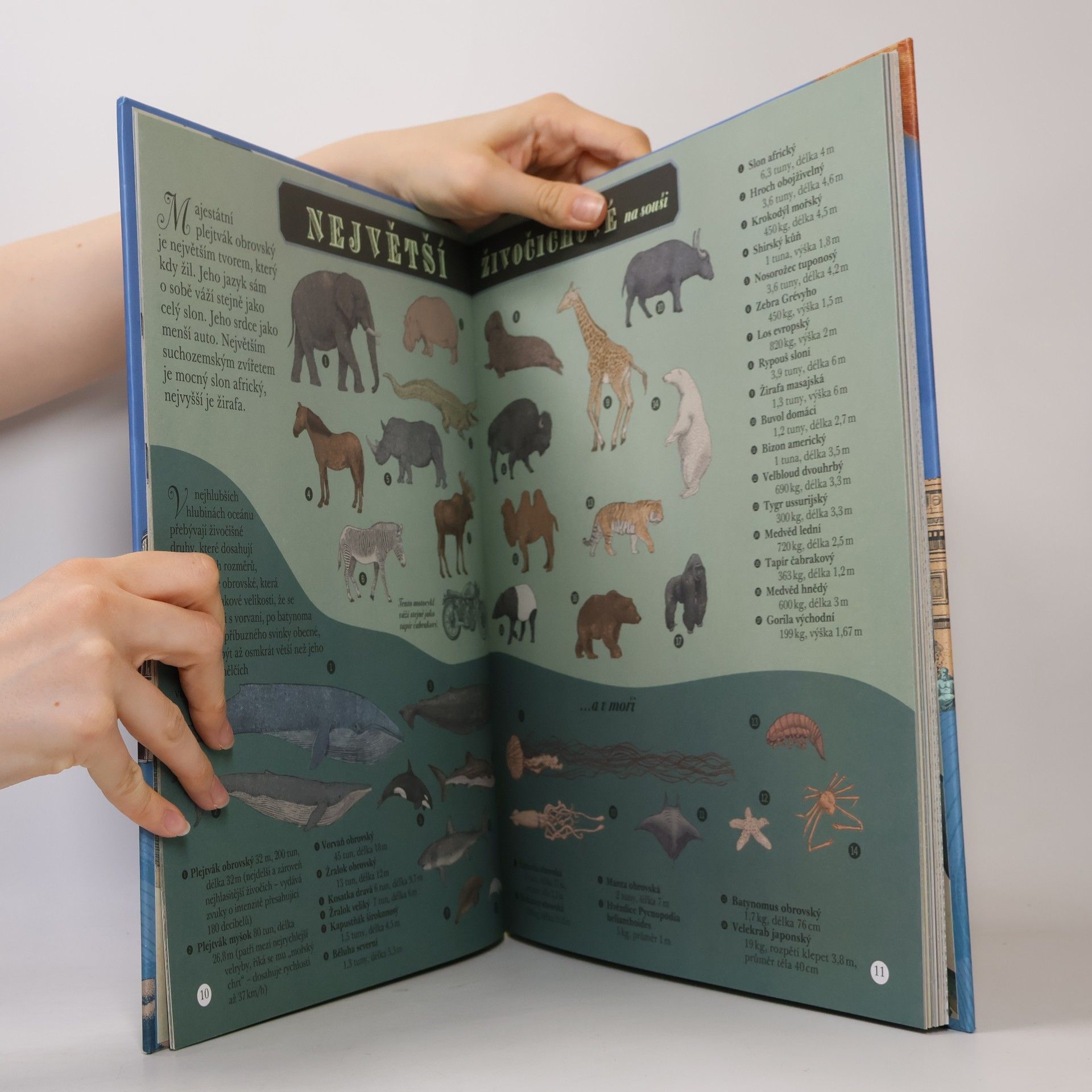 Page Tsou Nejvyšší hora, nejmenší hvězda - Přírodní divy v obrazech