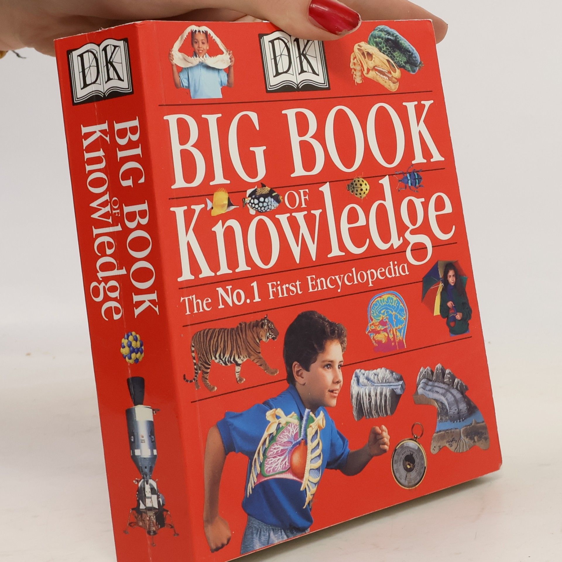 Sarah Phillips Big Book of Knowledge. The No.1 First Encyclopedia