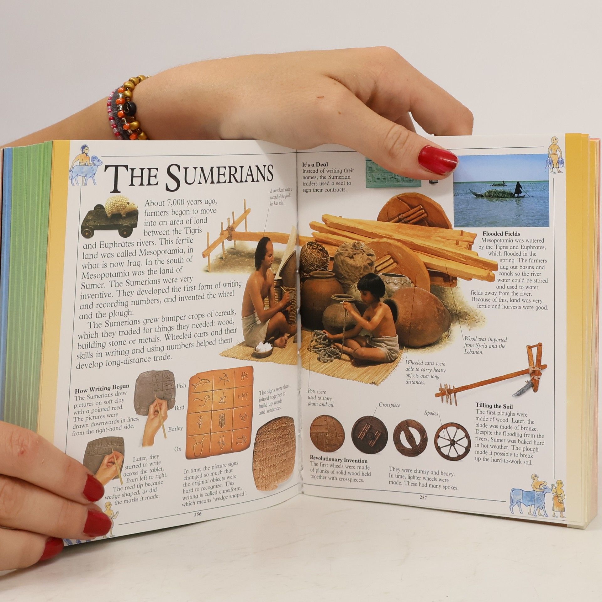 Sarah Phillips Big Book of Knowledge. The No.1 First Encyclopedia