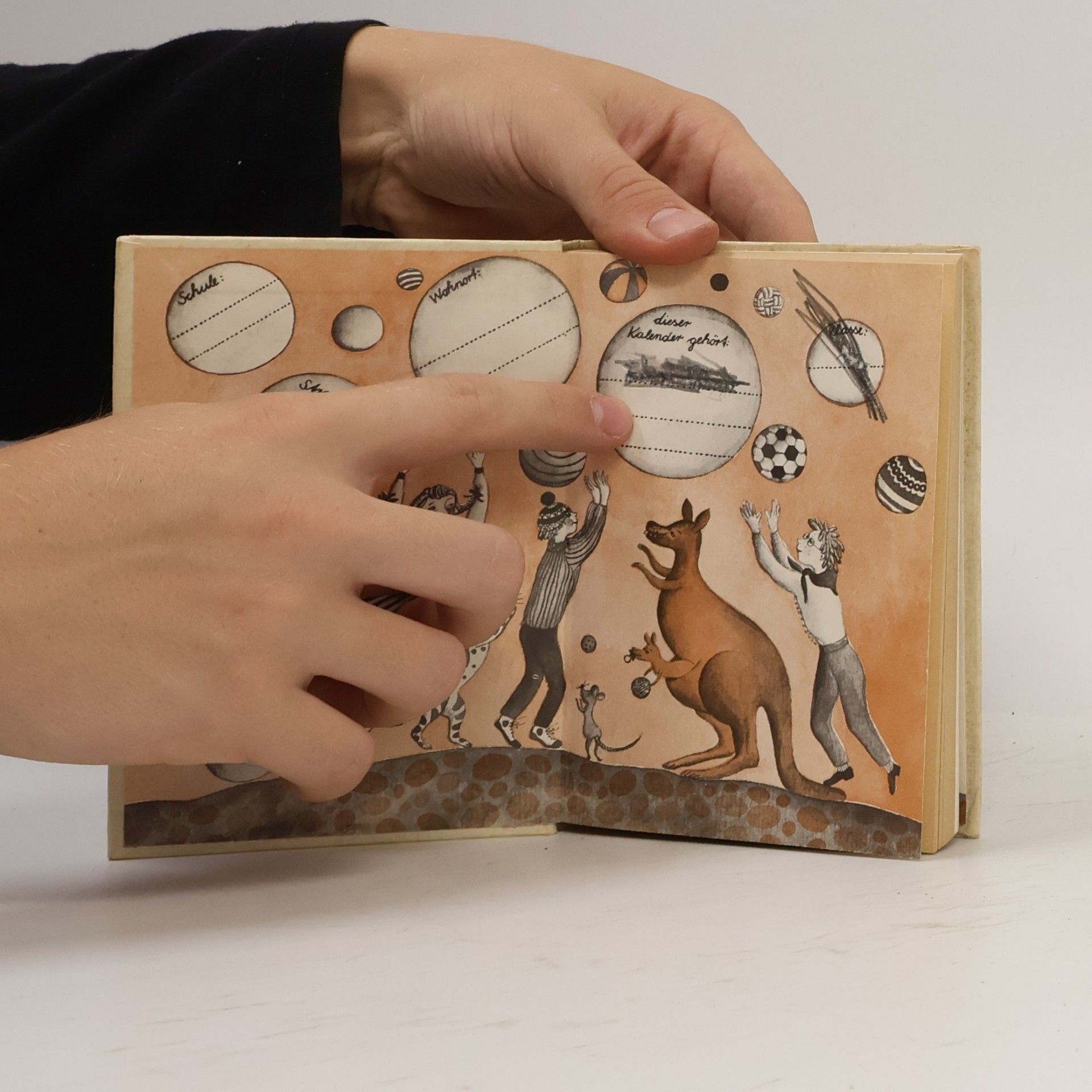 Autorenkollektiv Kalender für Jungpioniere