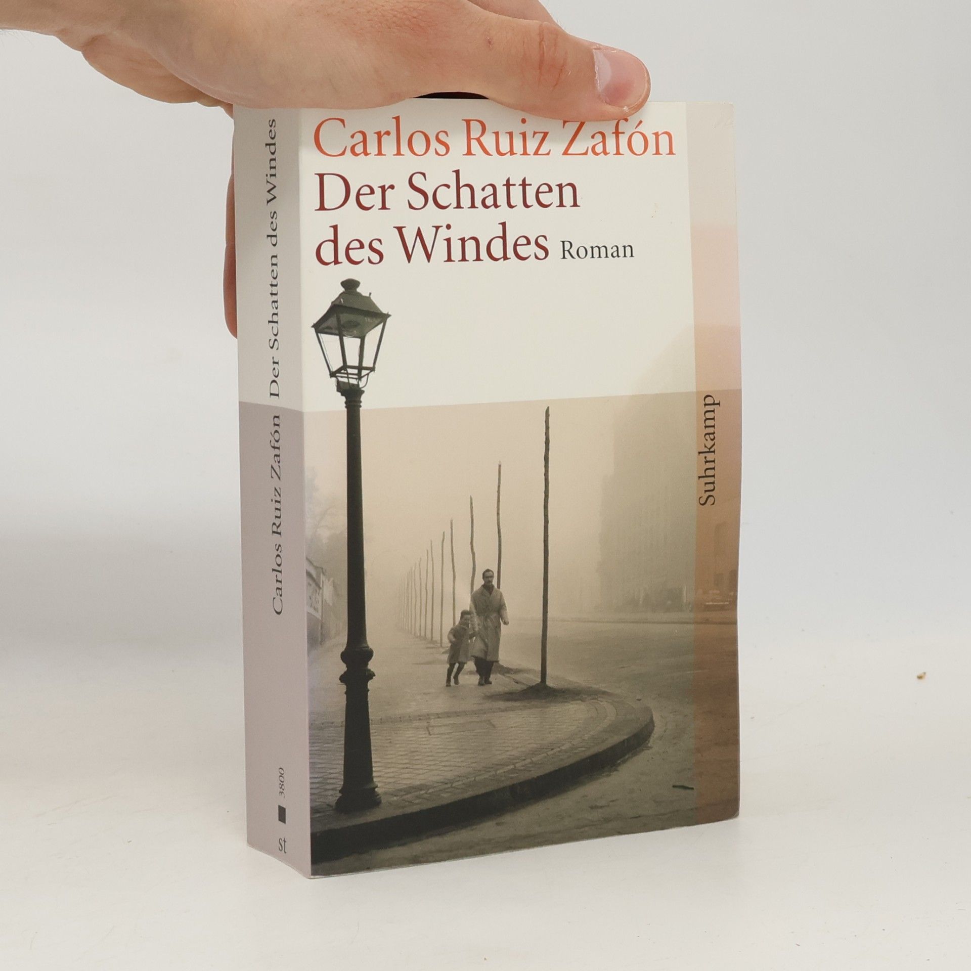 Carlos Ruiz Safon Der Schatten des Windes