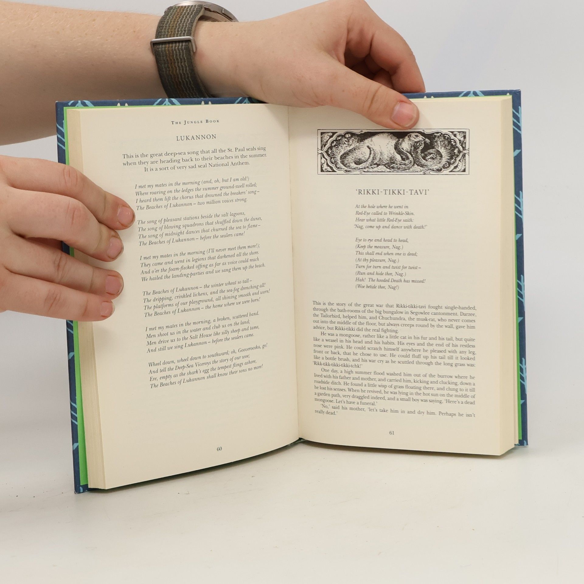 Rudyard Kipling The Jungle Book