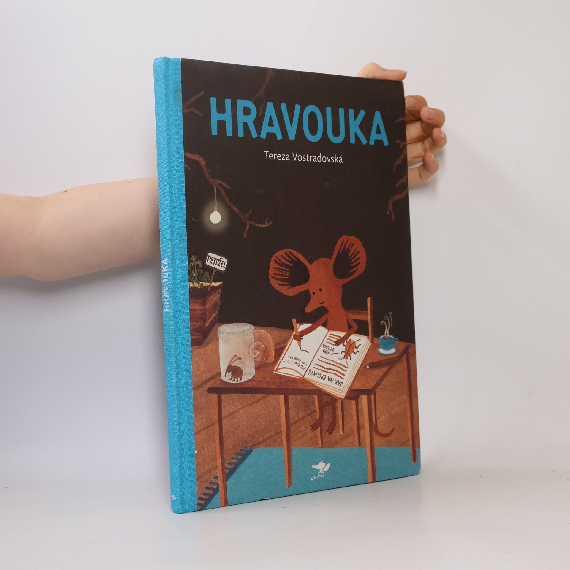 Tereza Vostradovská Hravouka