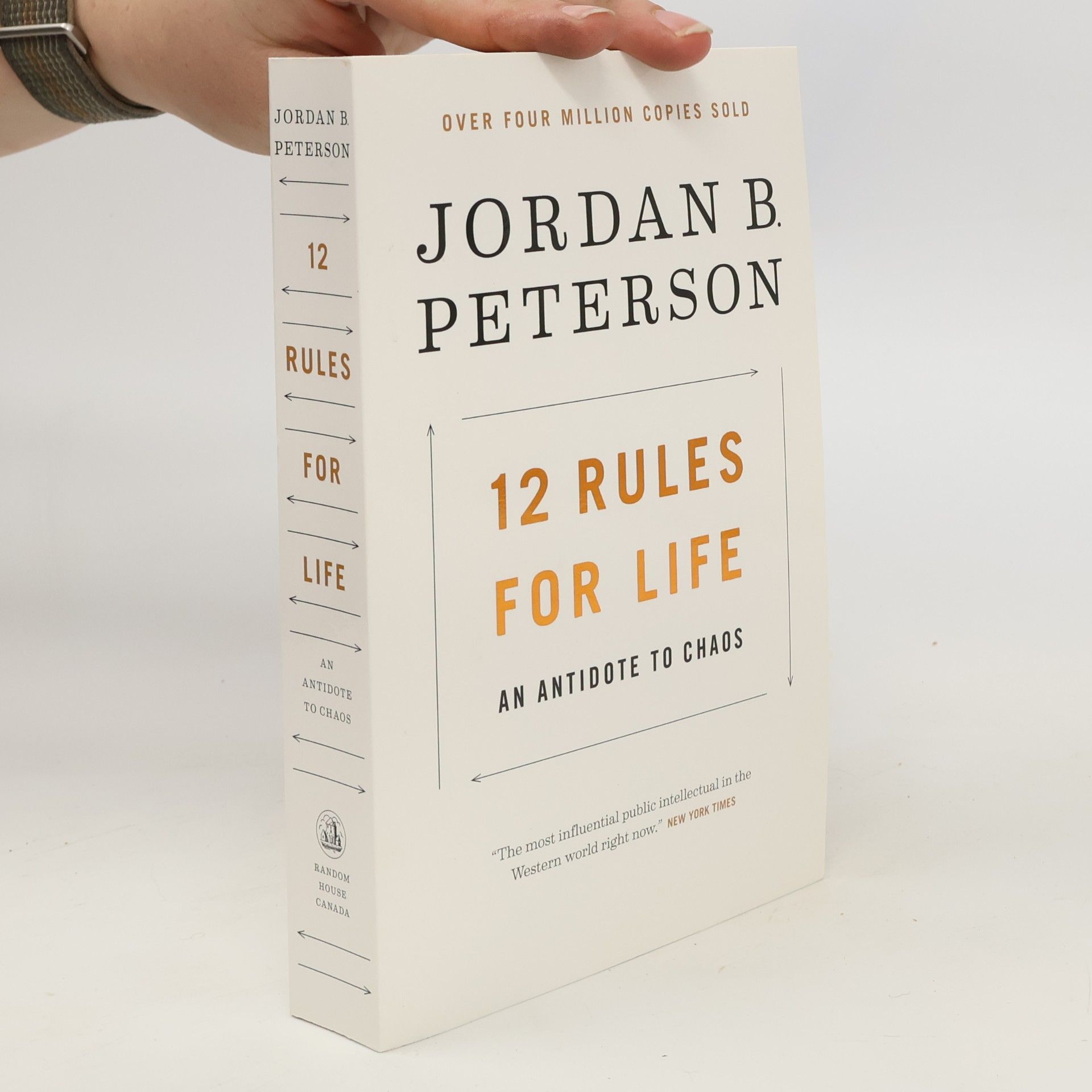 Jordan Peterson 12 Rules for Life