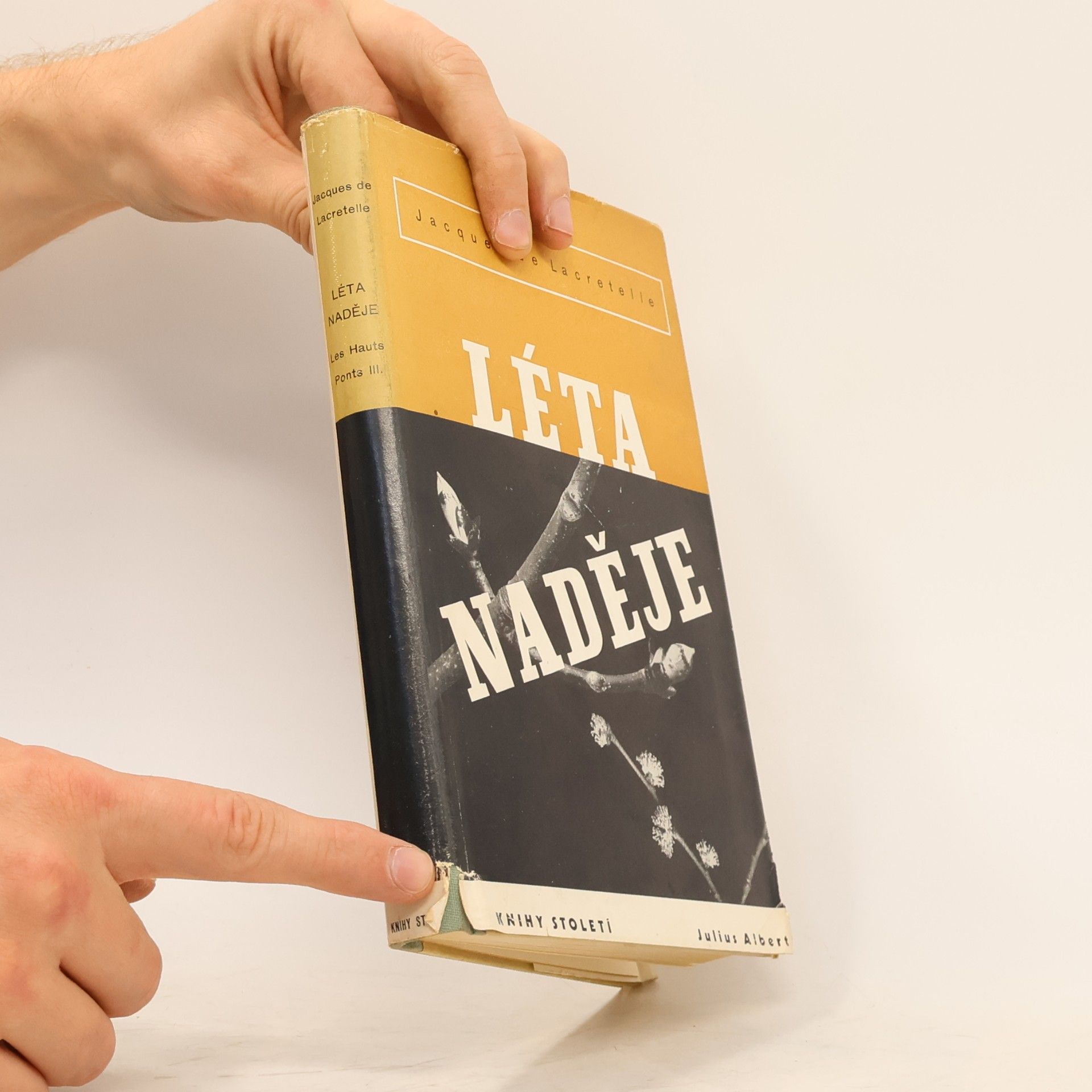 Běla VrbováPavlousková Léta naděje