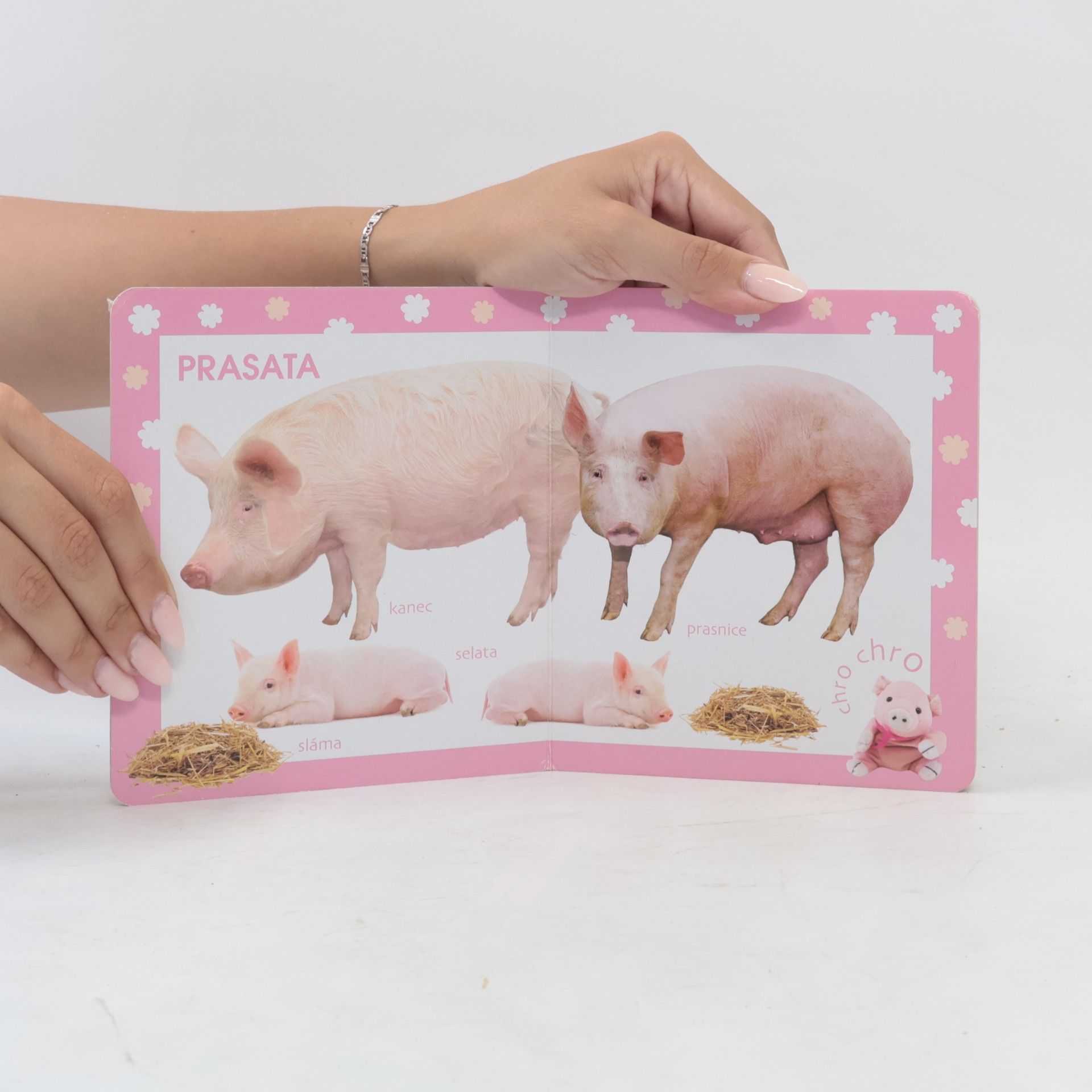 Kolektiv autorů Statek : děti poznávají