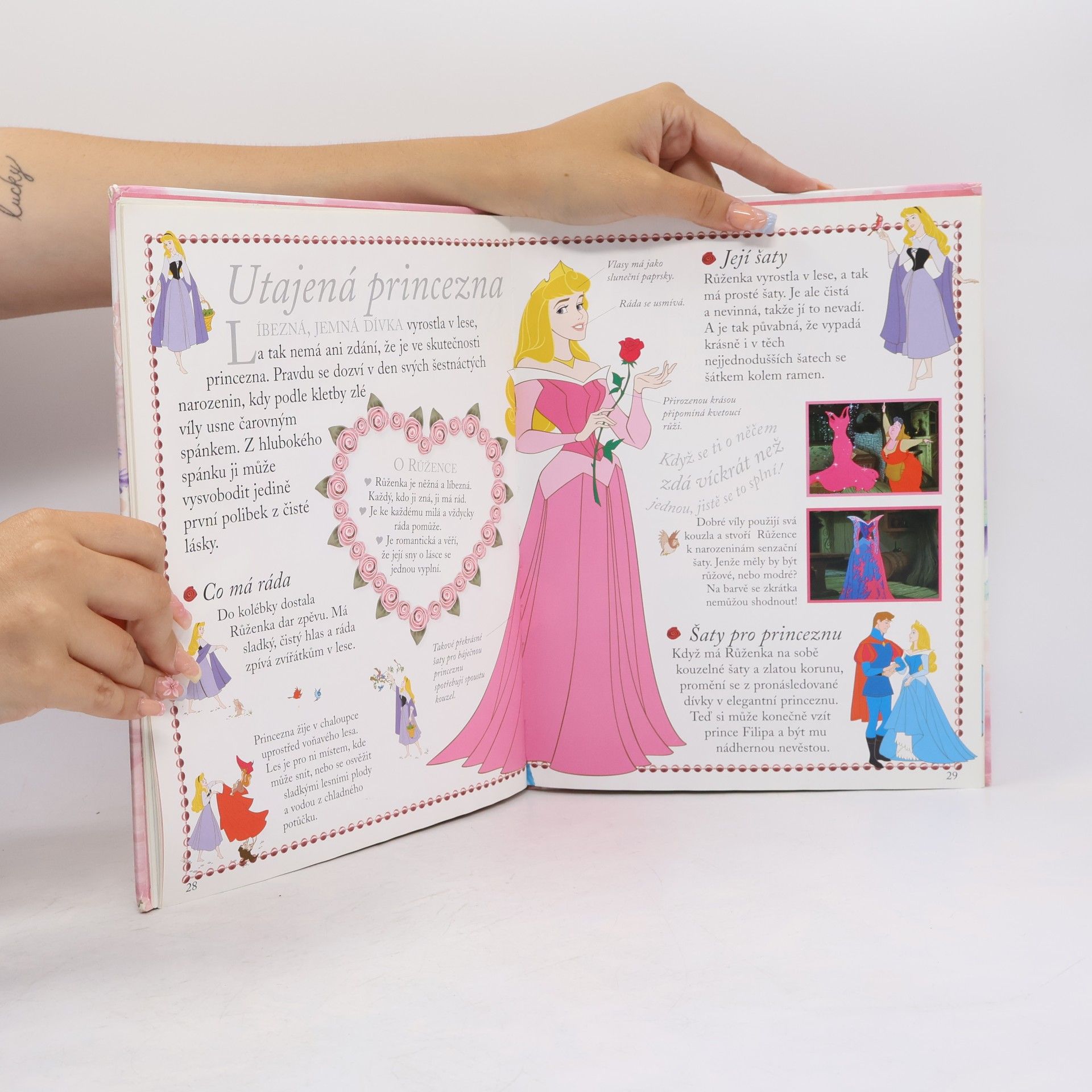Walt Disney Princezny - Obrazový slovník
