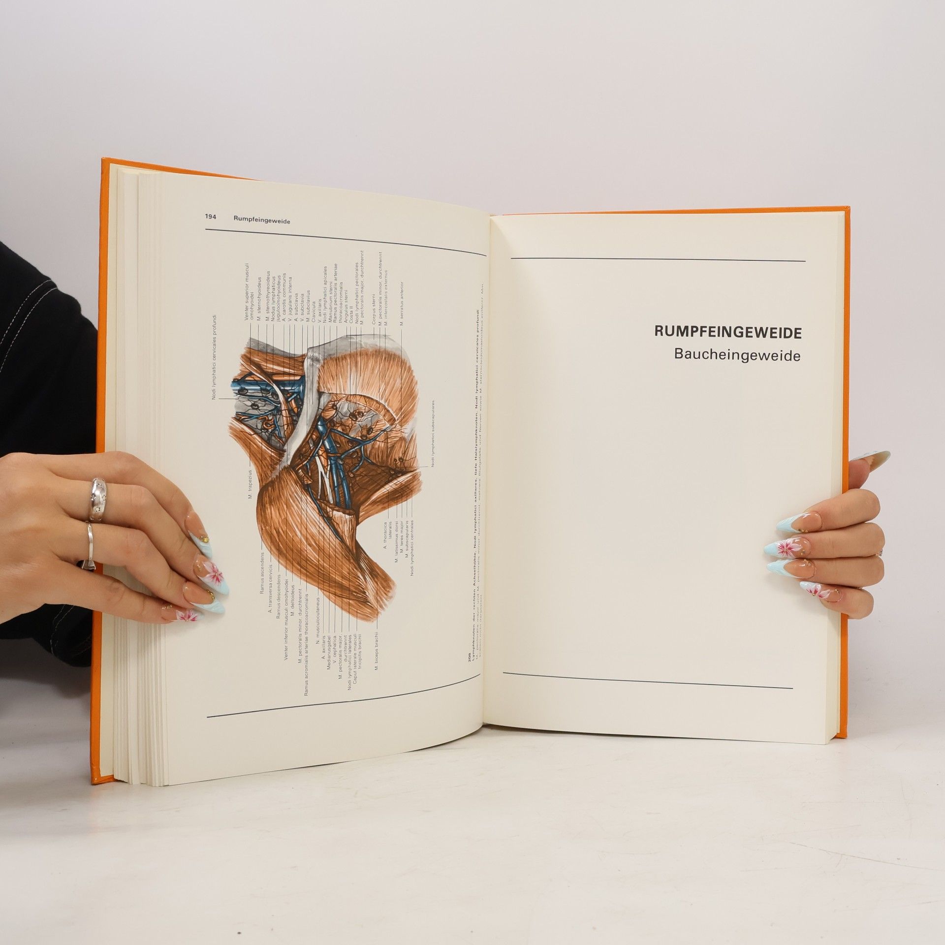 Rolf Bertolini Atlas der Anatomie des Menschen