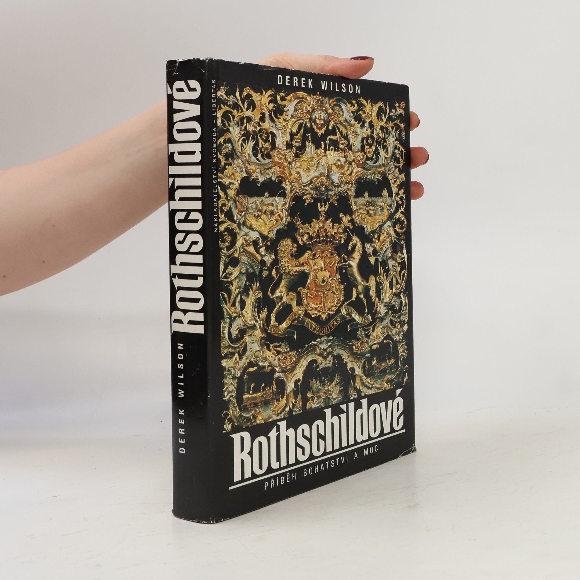 Derek Wilson Rothschildové. Příběh bohatství a moci