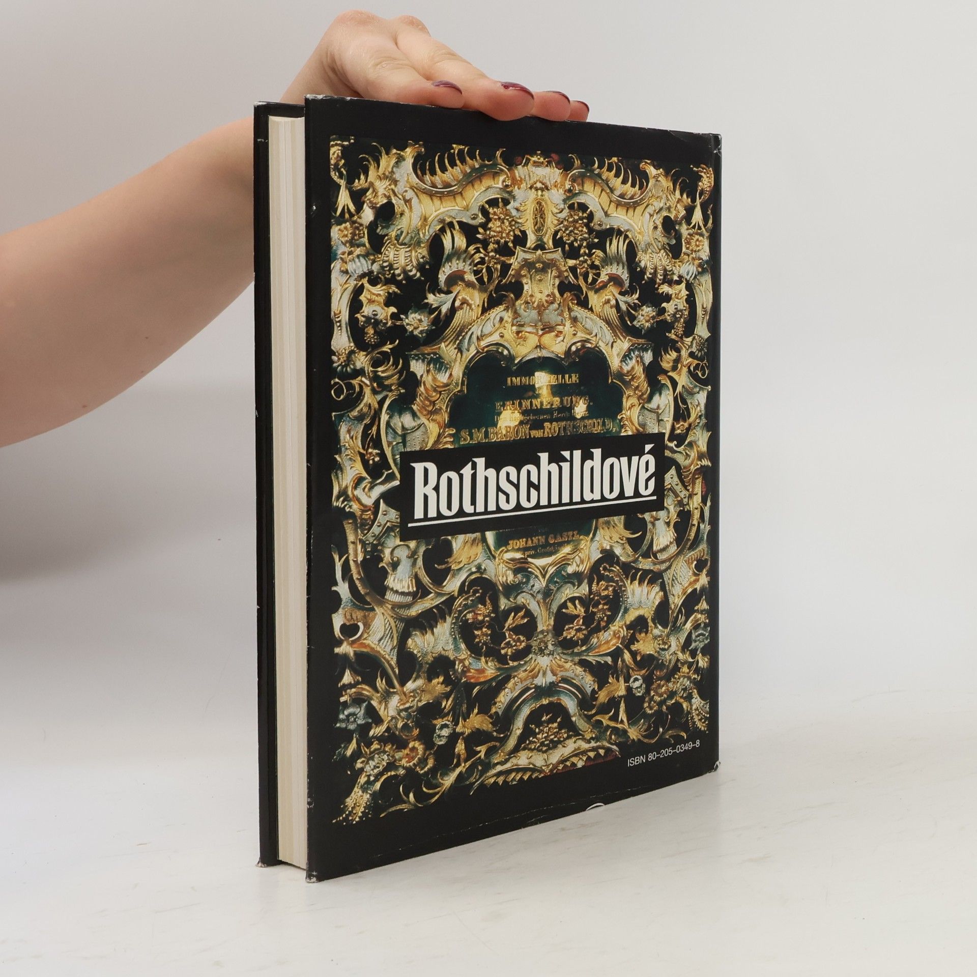 Derek Wilson Rothschildové. Příběh bohatství a moci