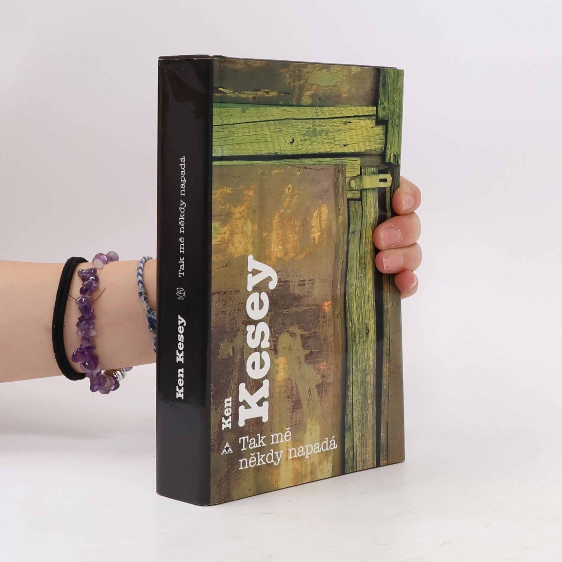 Ken Kesey Tak mě někdy napadá