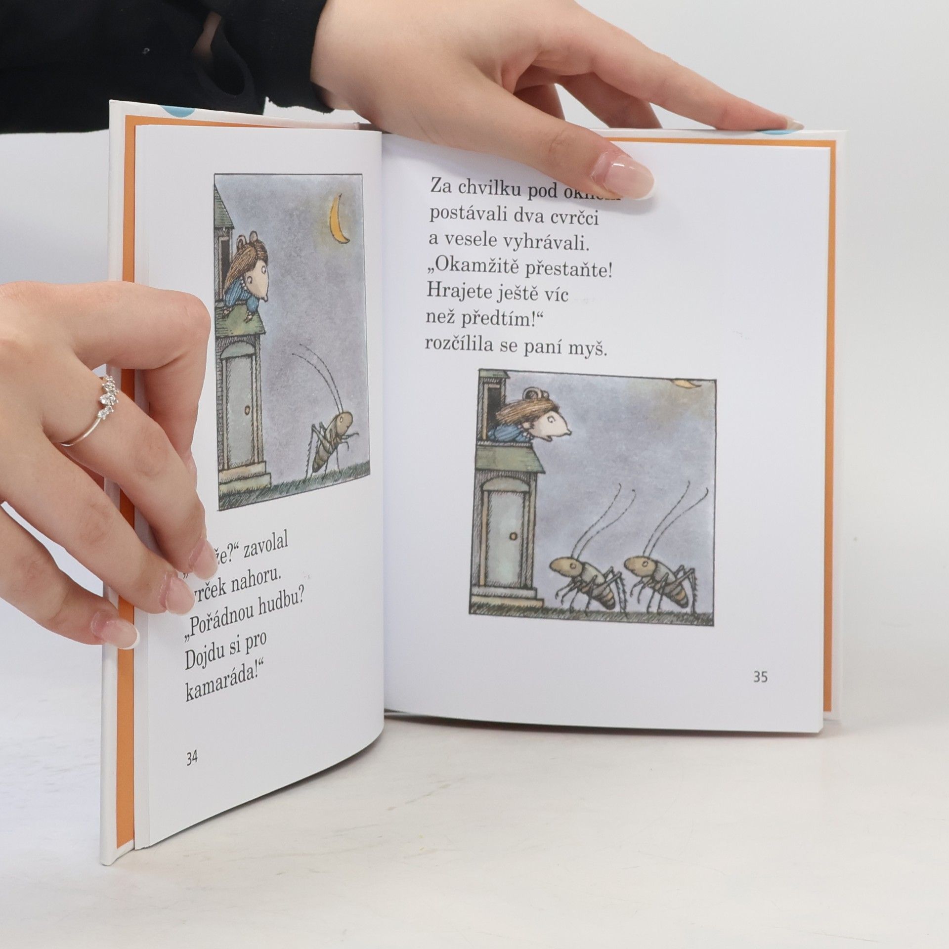 Arnold Lobel Myška a pohádková polívka