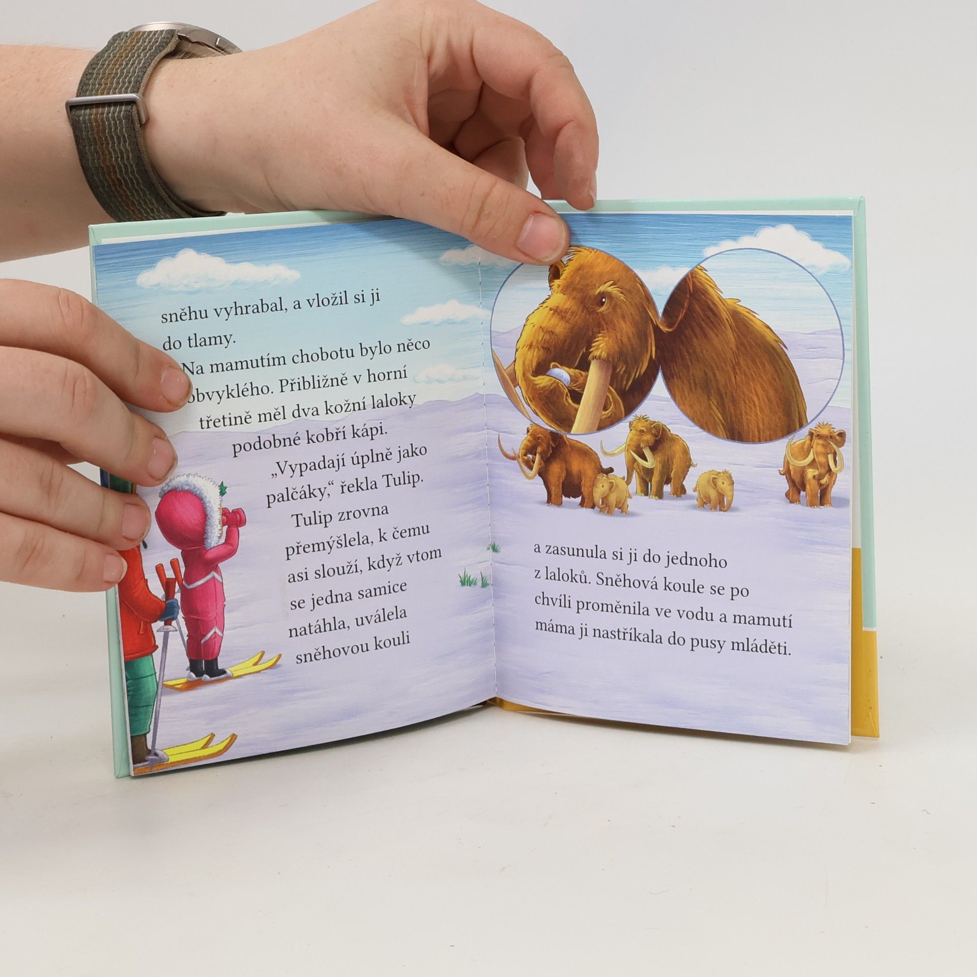 Cressida Cowell Stromovic dvojčata a jejich dobrodružství v divočině. Dvojčata putují s mamutem srstnatým